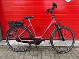 SPARTA A-Shine Fit M7B Lageinstap Garnet-Red 53cm 2023