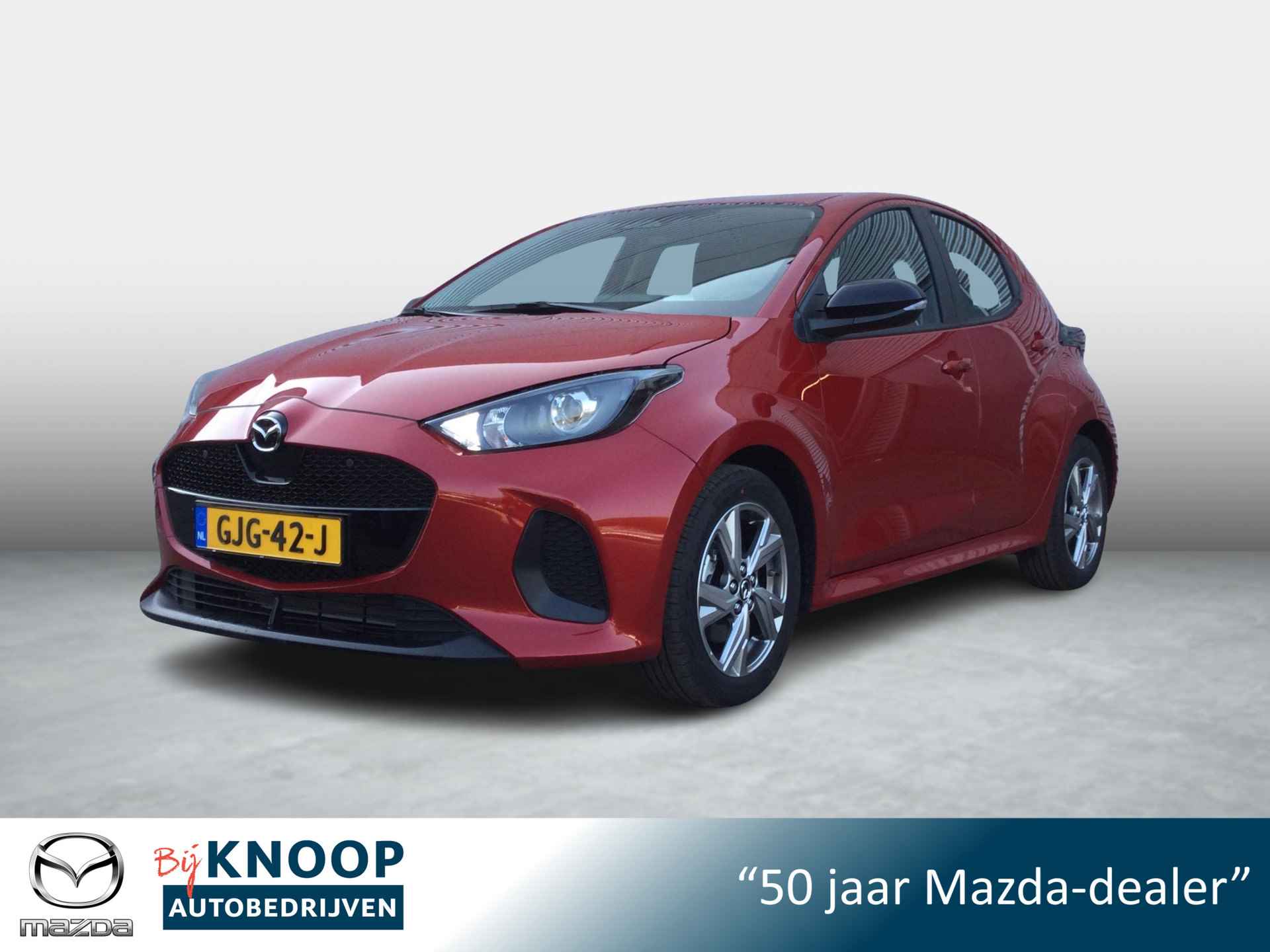 Mazda 2 BOVAG 40-Puntencheck