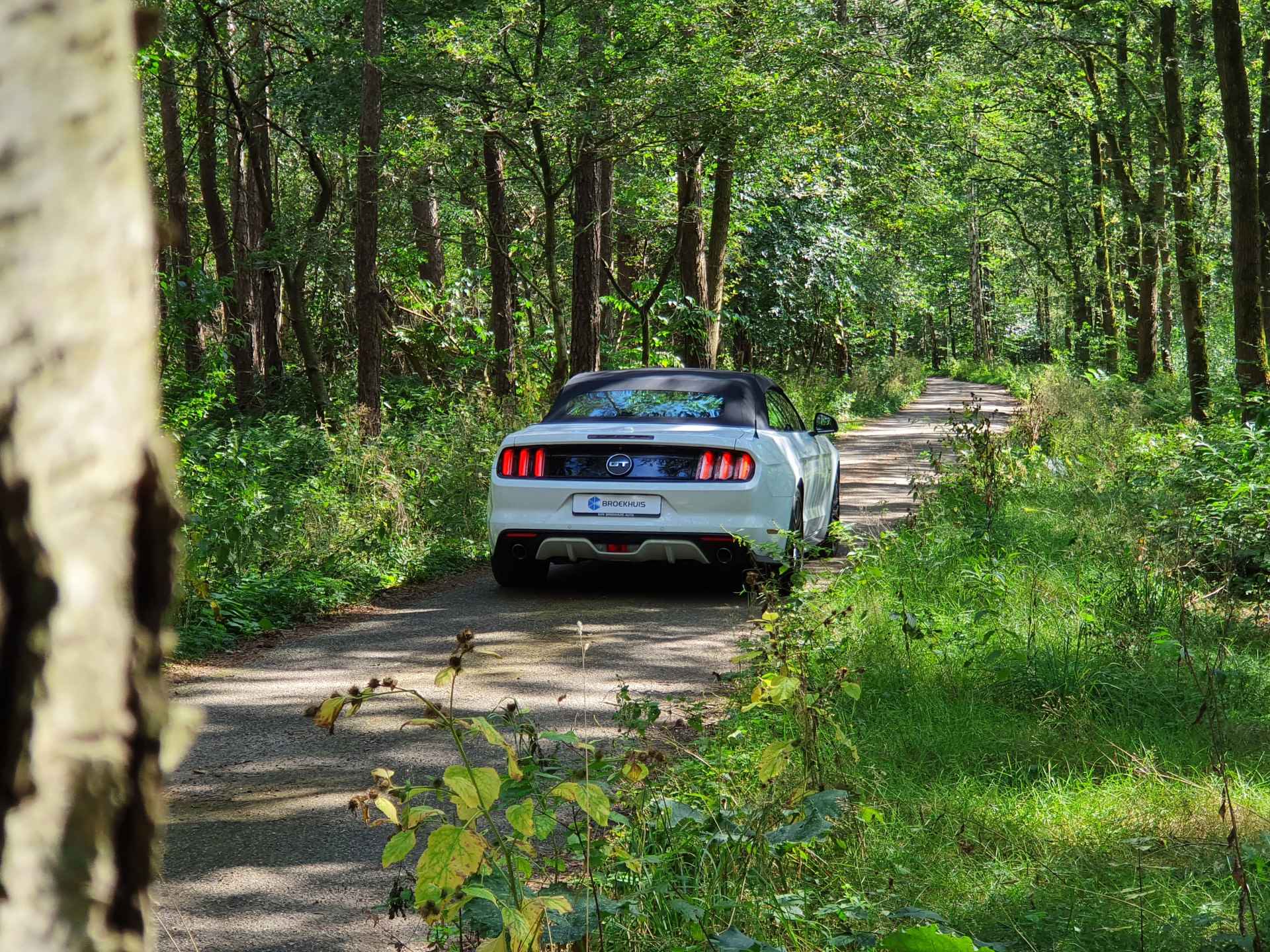 Ford Mustang Cabrio 5.0 V8 GT | DEALER OH! | UNIEKE STAAT! | STOELVERWARMING + KOELING | CUSTOM PACK | LEDER | SHAKER | CAMERA - 17/53