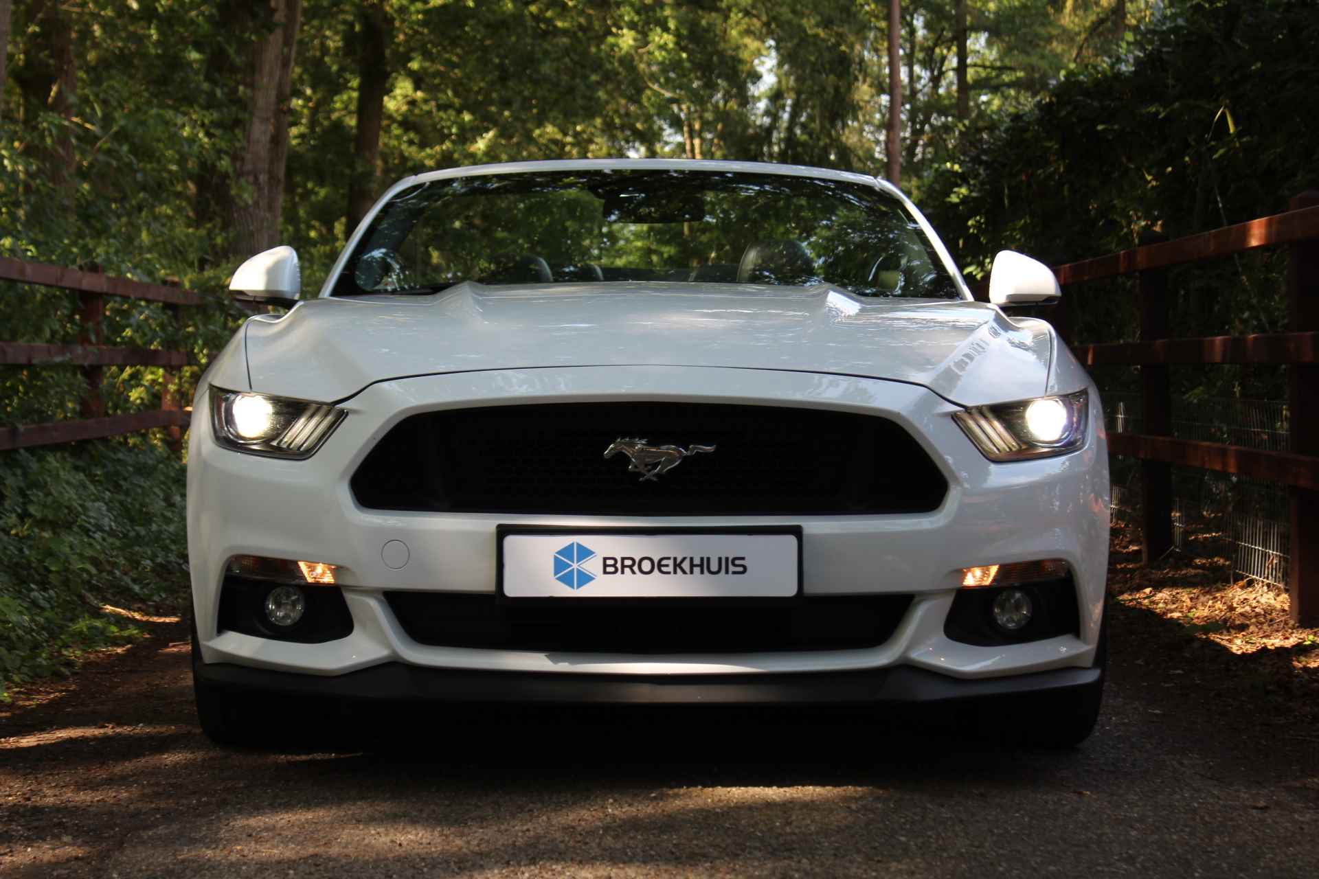 Ford Mustang Cabrio 5.0 V8 GT | DEALER OH! | UNIEKE STAAT! | STOELVERWARMING + KOELING | CUSTOM PACK | LEDER | SHAKER | CAMERA - 19/53