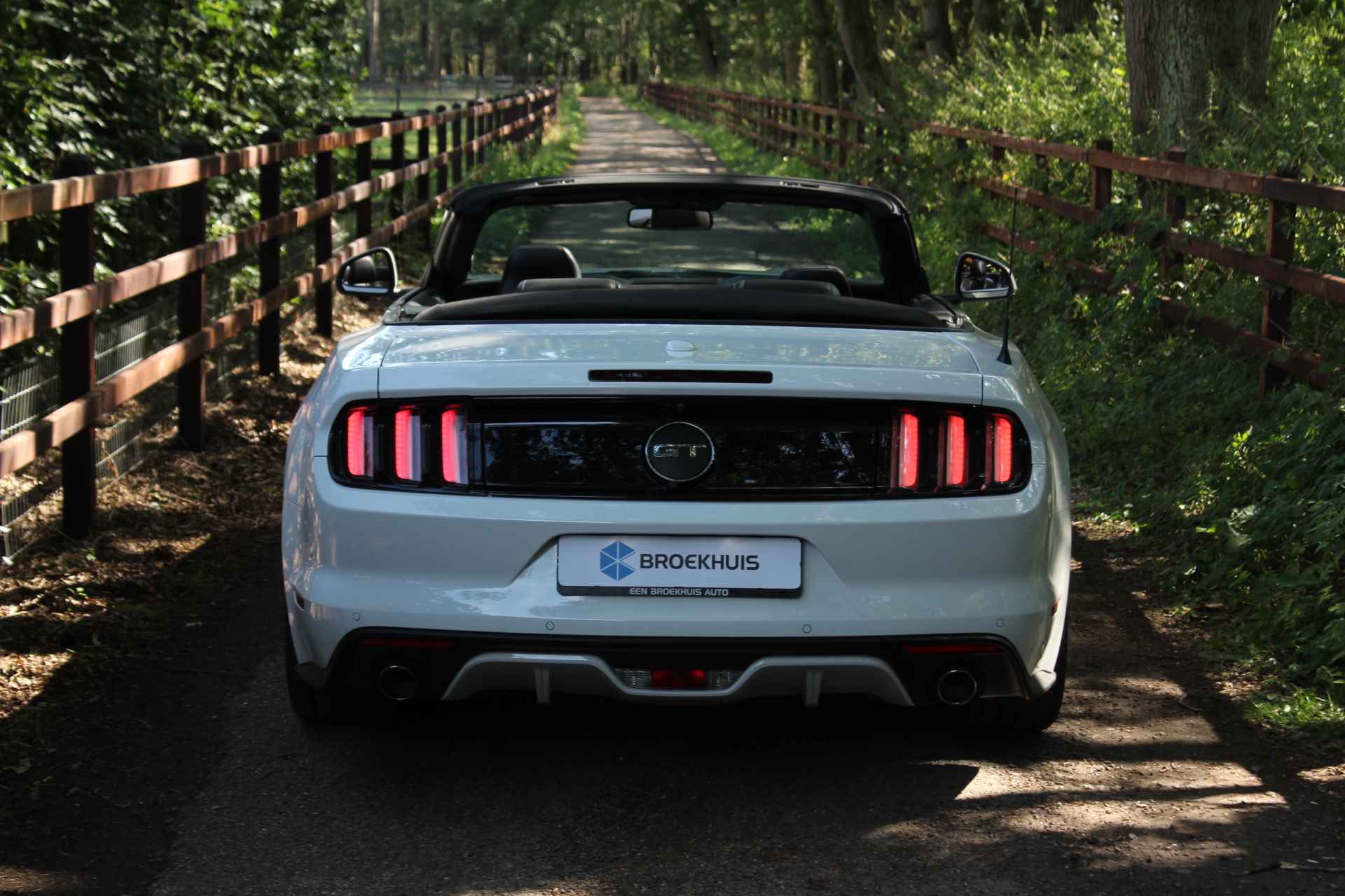 Ford Mustang Cabrio 5.0 V8 GT | DEALER OH! | UNIEKE STAAT! | STOELVERWARMING + KOELING | CUSTOM PACK | LEDER | SHAKER | CAMERA - 20/53