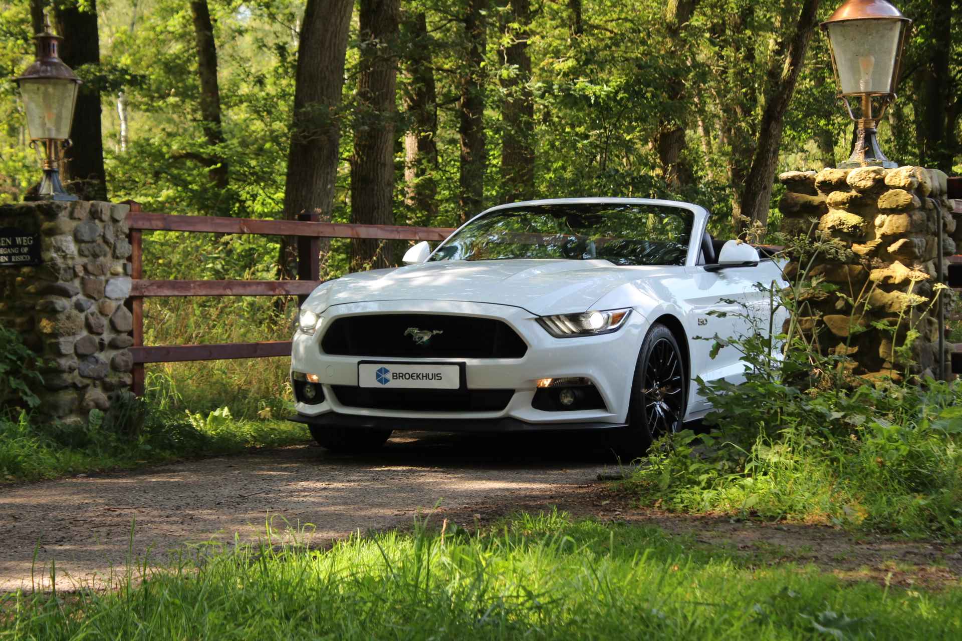 Ford Mustang Cabrio 5.0 V8 GT | DEALER OH! | UNIEKE STAAT! | STOELVERWARMING + KOELING | CUSTOM PACK | LEDER | SHAKER | CAMERA - 29/53