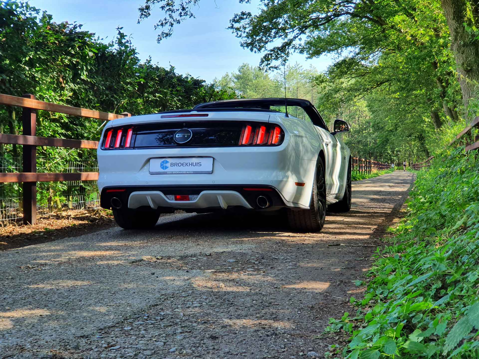 Ford Mustang Cabrio 5.0 V8 GT | DEALER OH! | UNIEKE STAAT! | STOELVERWARMING + KOELING | CUSTOM PACK | LEDER | SHAKER | CAMERA - 41/53