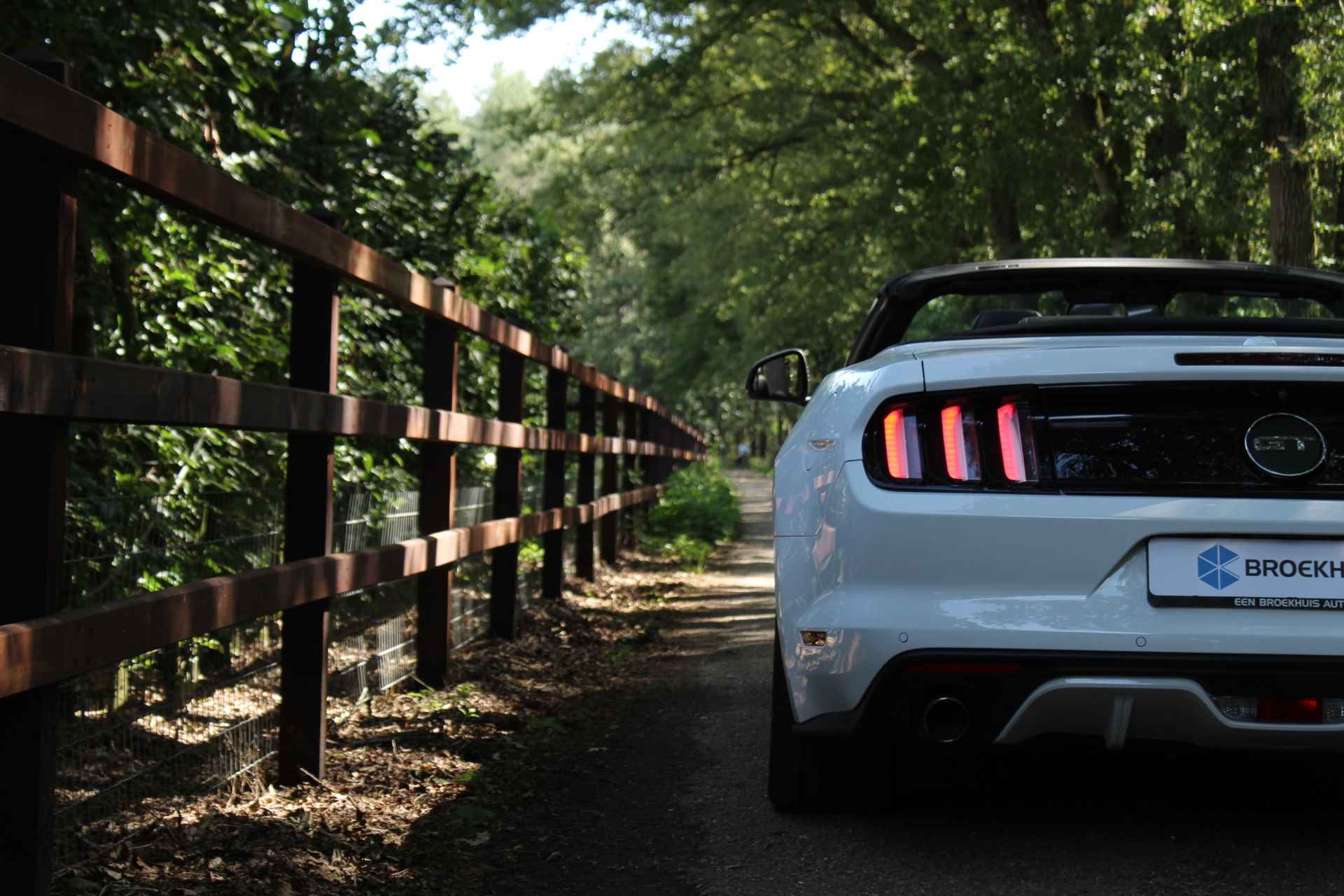 Ford Mustang Cabrio 5.0 V8 GT | DEALER OH! | UNIEKE STAAT! | STOELVERWARMING + KOELING | CUSTOM PACK | LEDER | SHAKER | CAMERA - 46/53