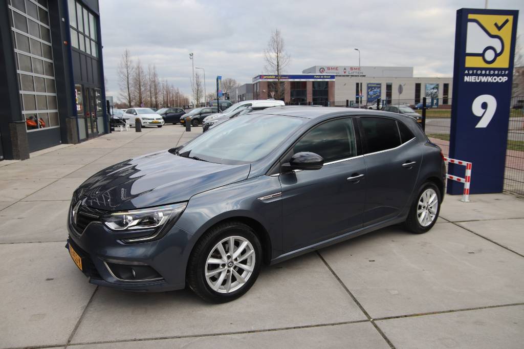 Renault Megane BOVAG 40-Puntencheck