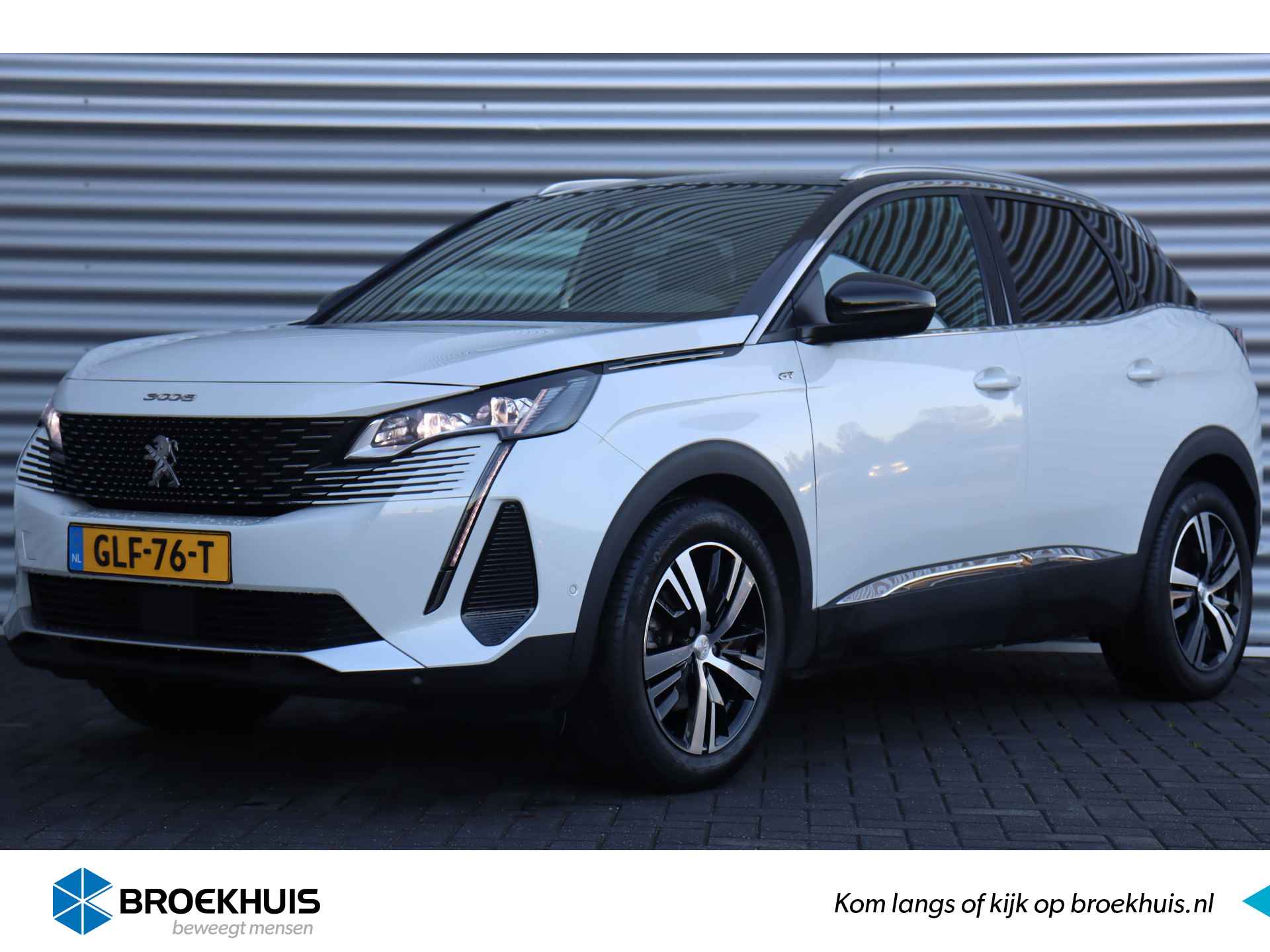 Peugeot 3008 BOVAG 40-Puntencheck