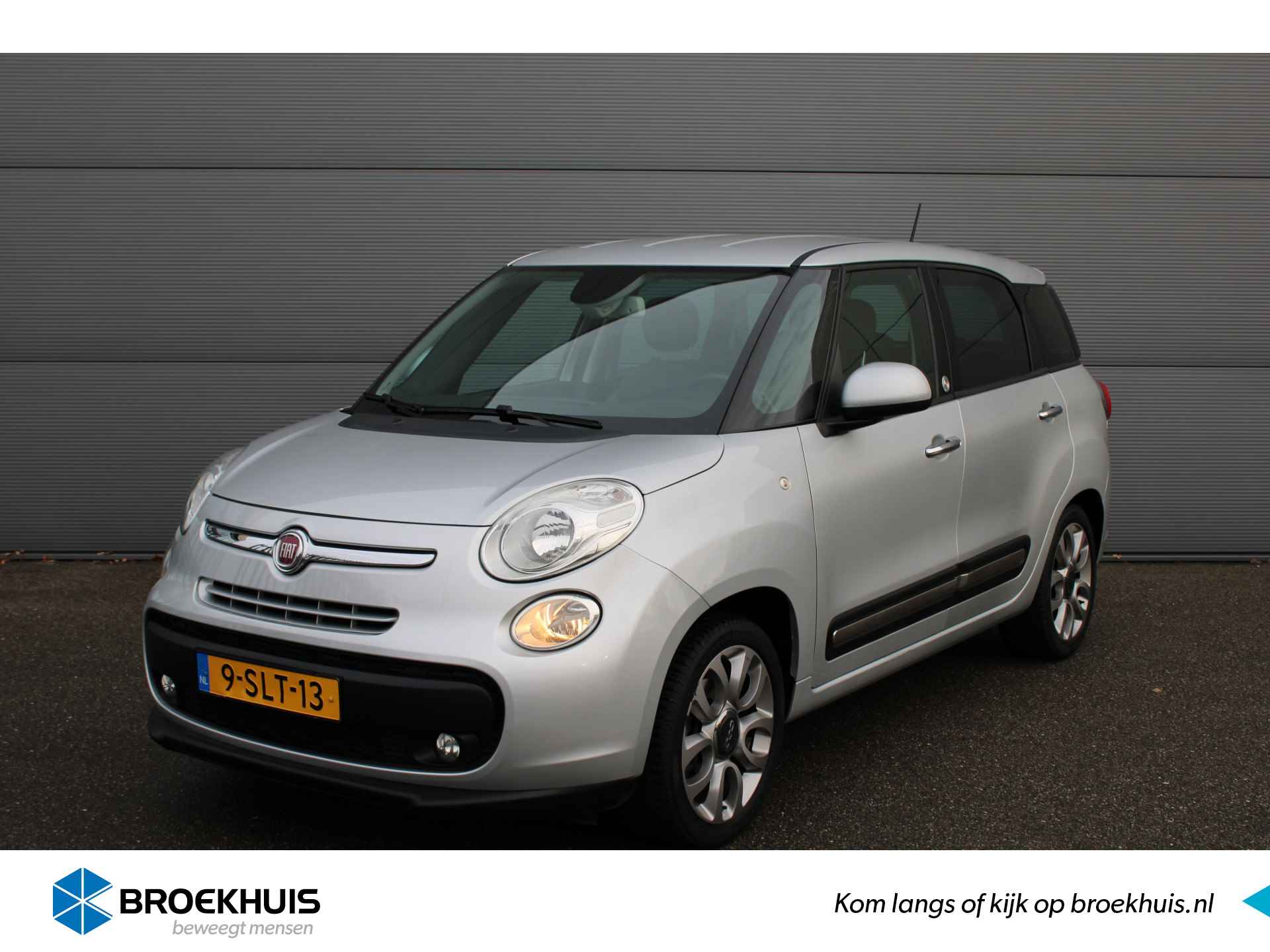 Fiat 500L BOVAG 40-Puntencheck