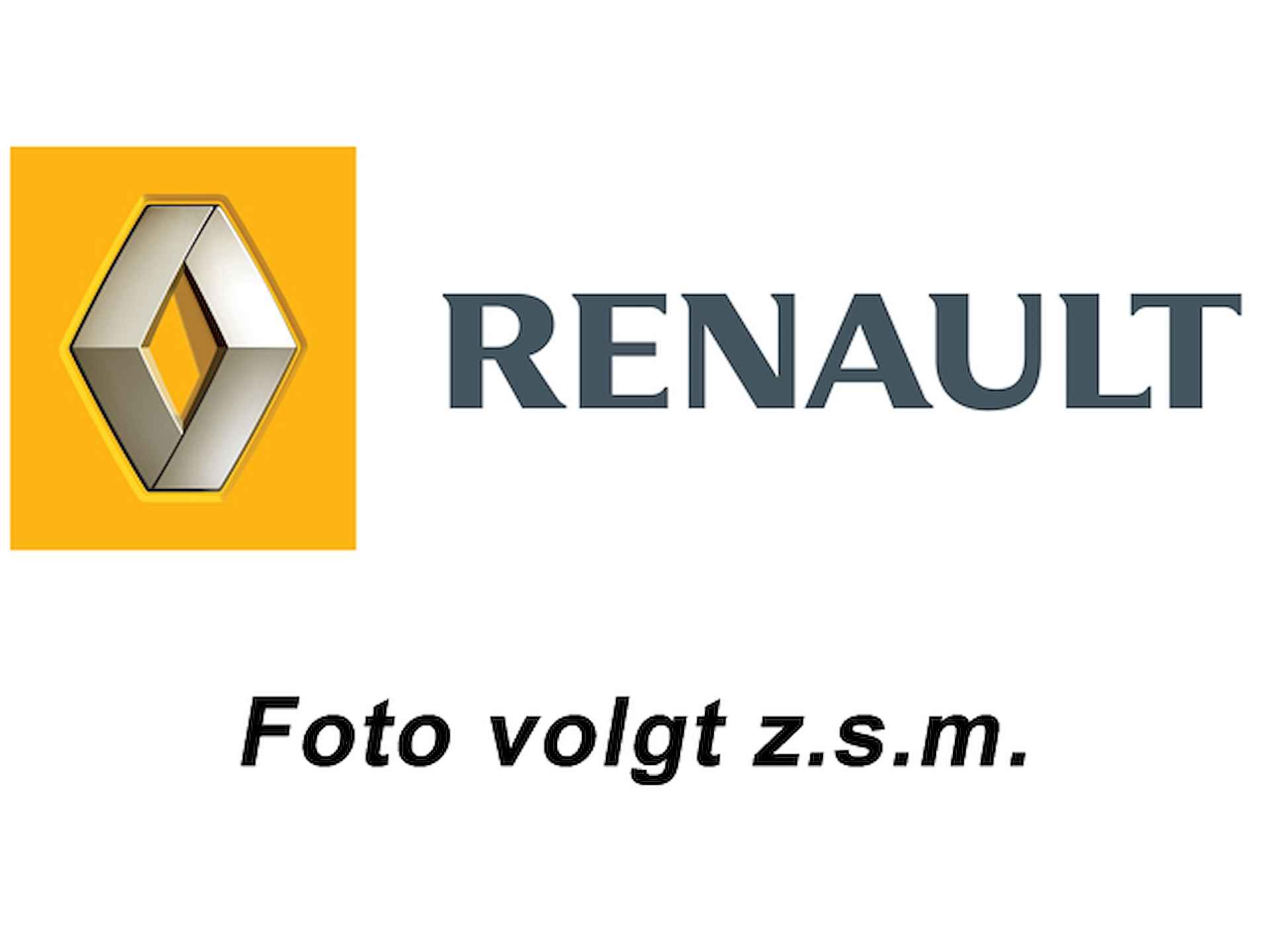 Renault Megane BOVAG 40-Puntencheck