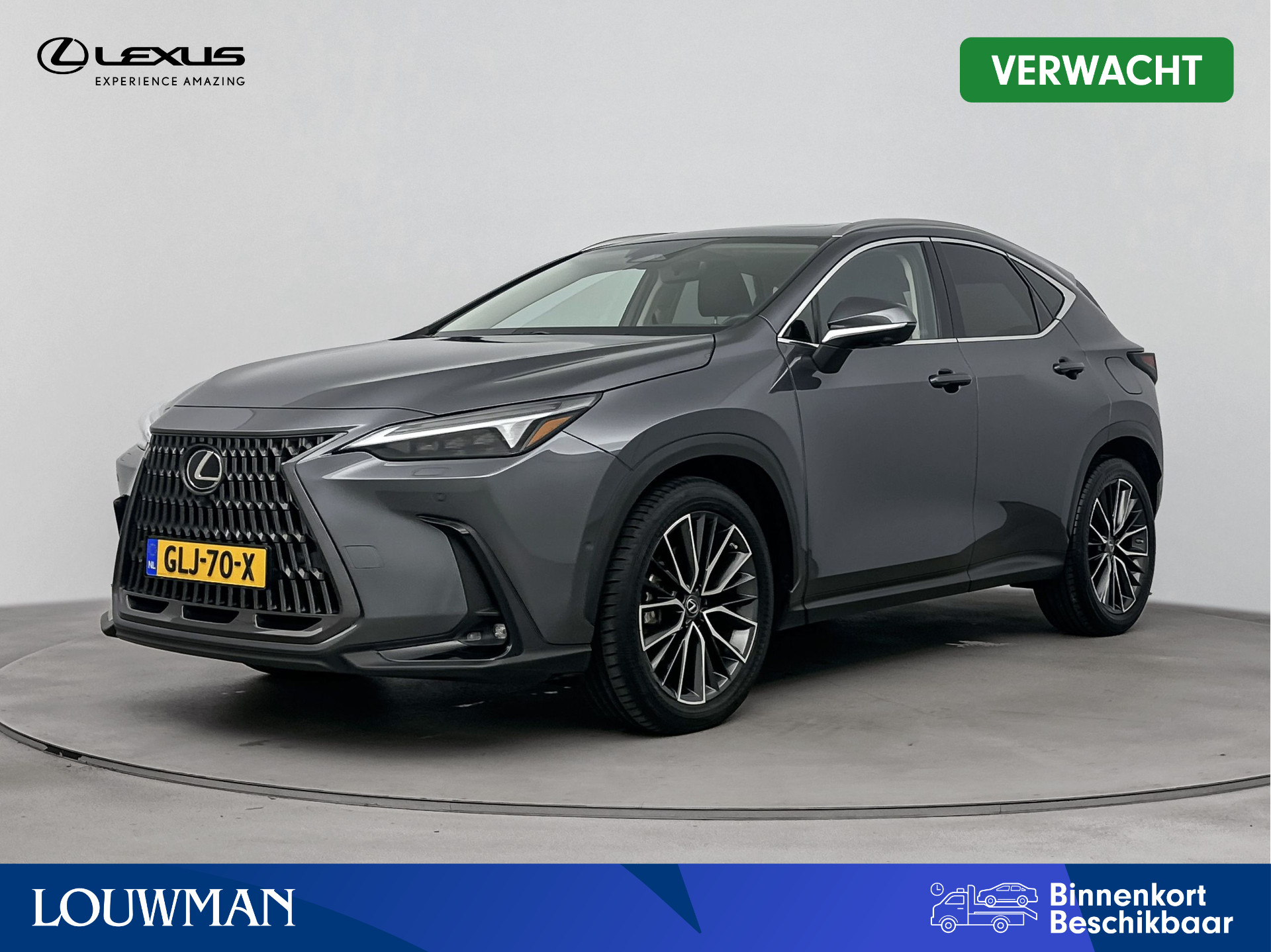 Lexus NX 450h+ AWD Executive Line Limited | Schuifdak | Stoelgeheugen | Houtafwerking | 360 Graden Camera |