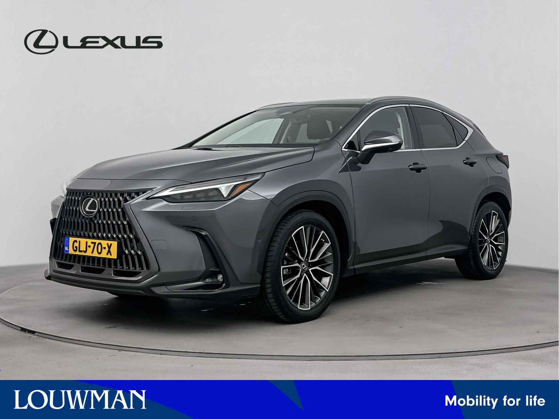 Lexus NX BOVAG 40-Puntencheck