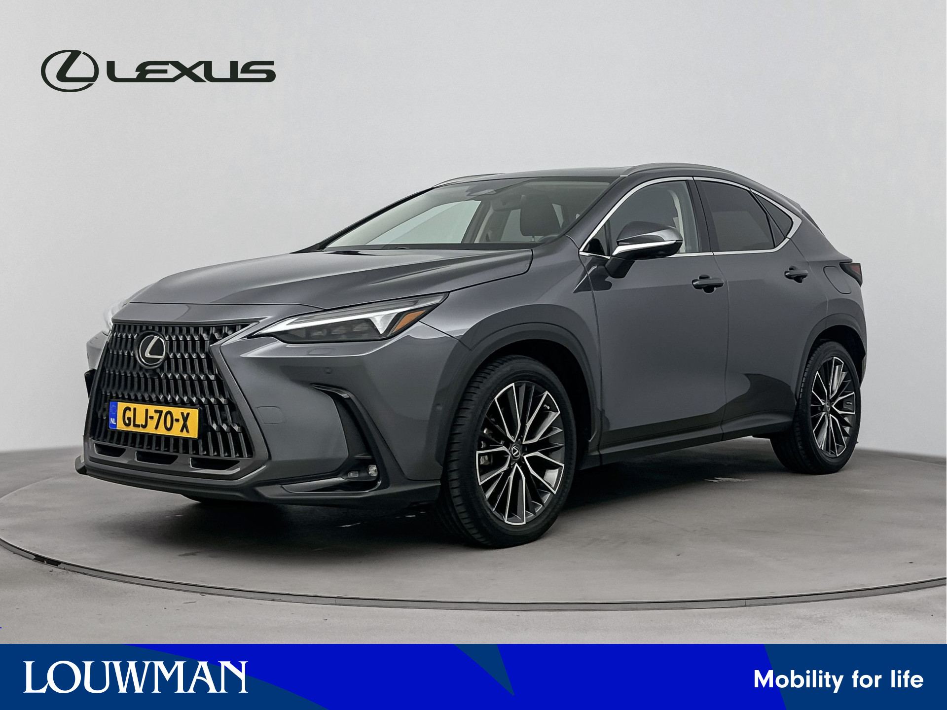 Lexus NX 450h+ AWD Executive Line Limited | Schuifdak | Stoelgeheugen | Houtafwerking | 360 Graden Camera |