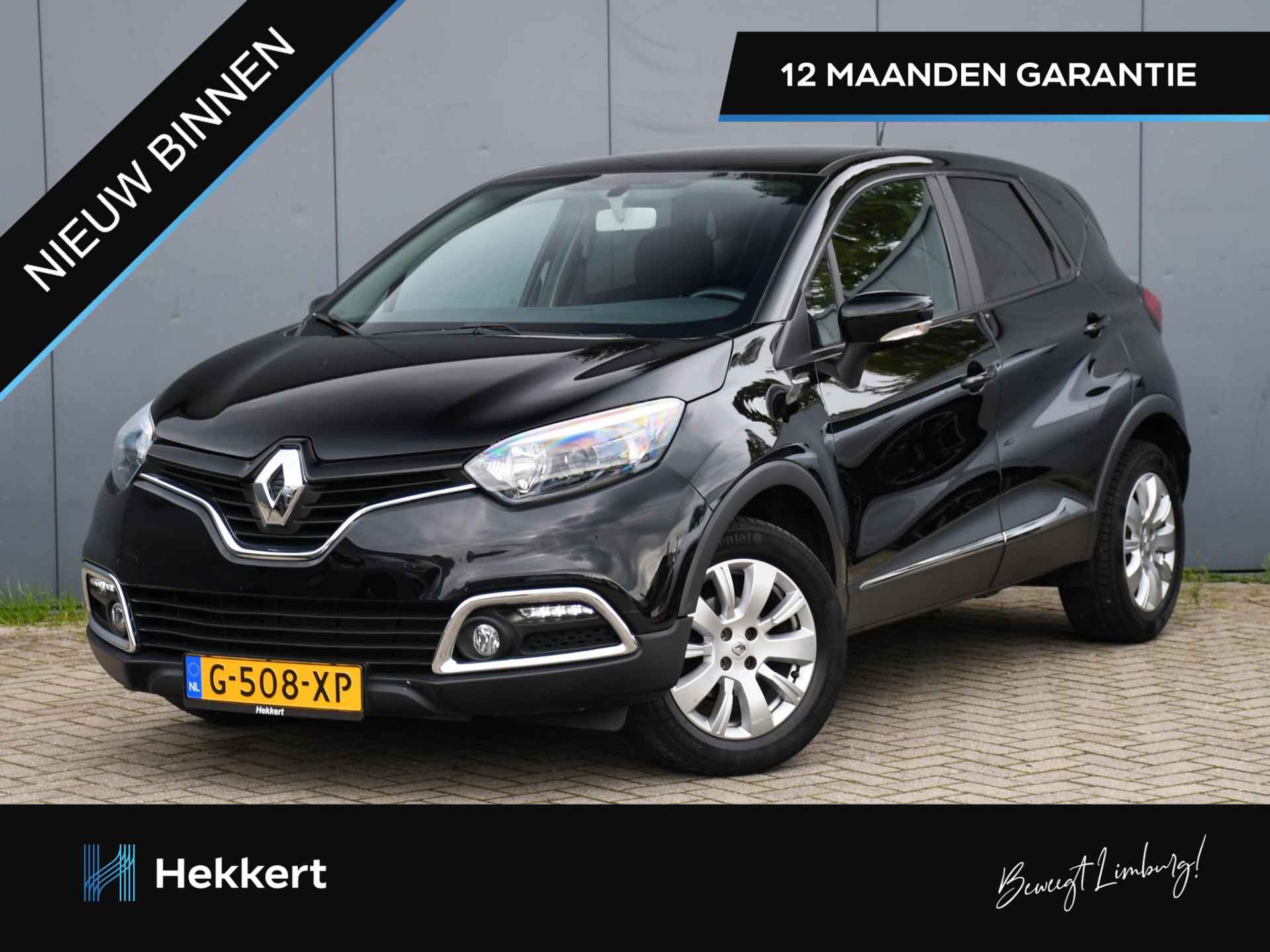 Renault Captur BOVAG 40-Puntencheck