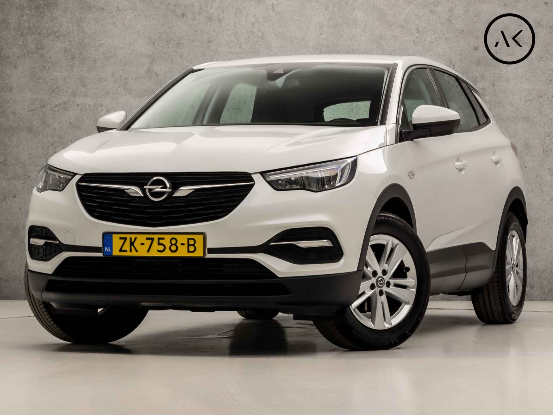 Opel Grandland X BOVAG 40-Puntencheck