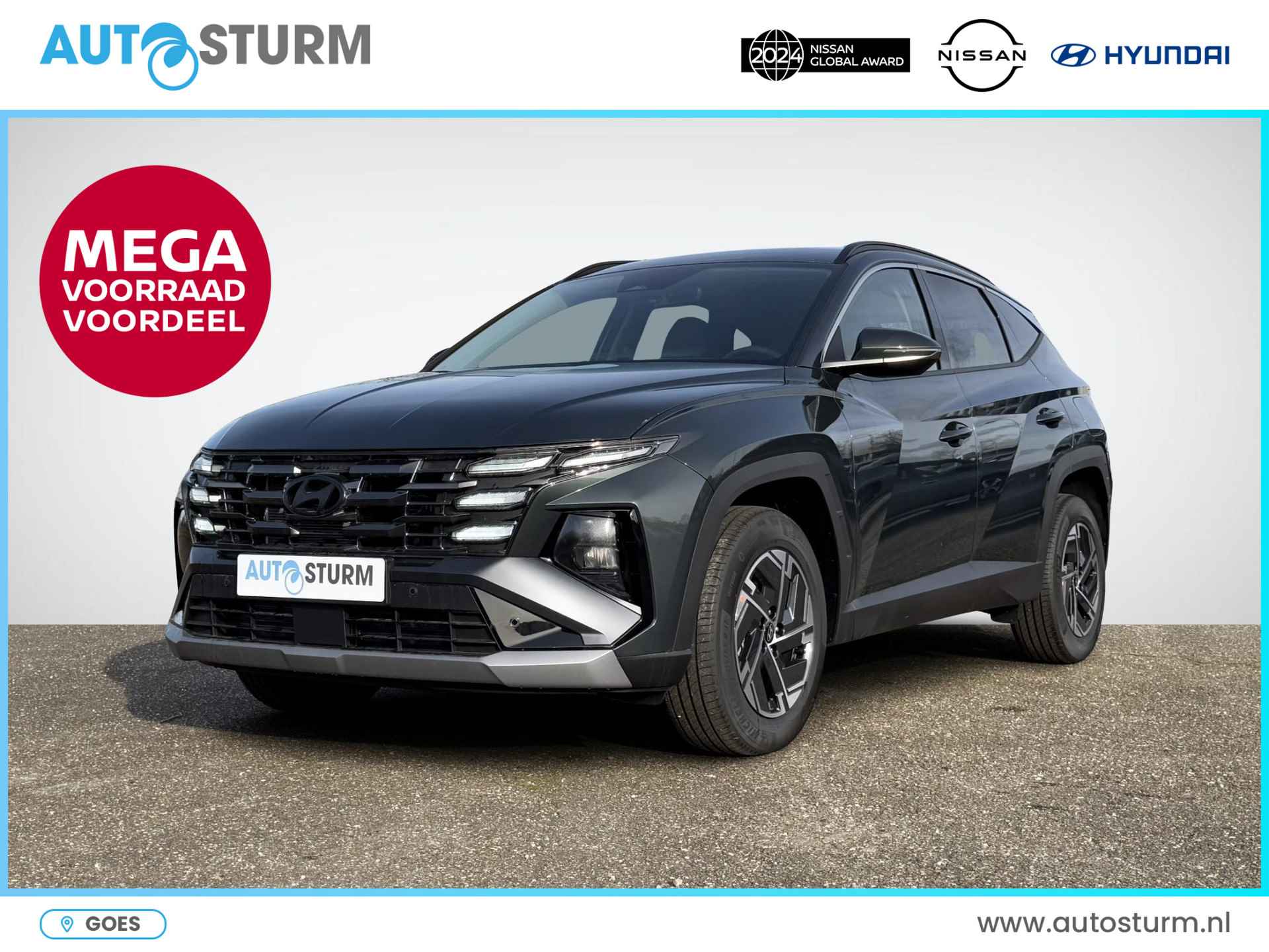 Hyundai Tucson BOVAG 40-Puntencheck