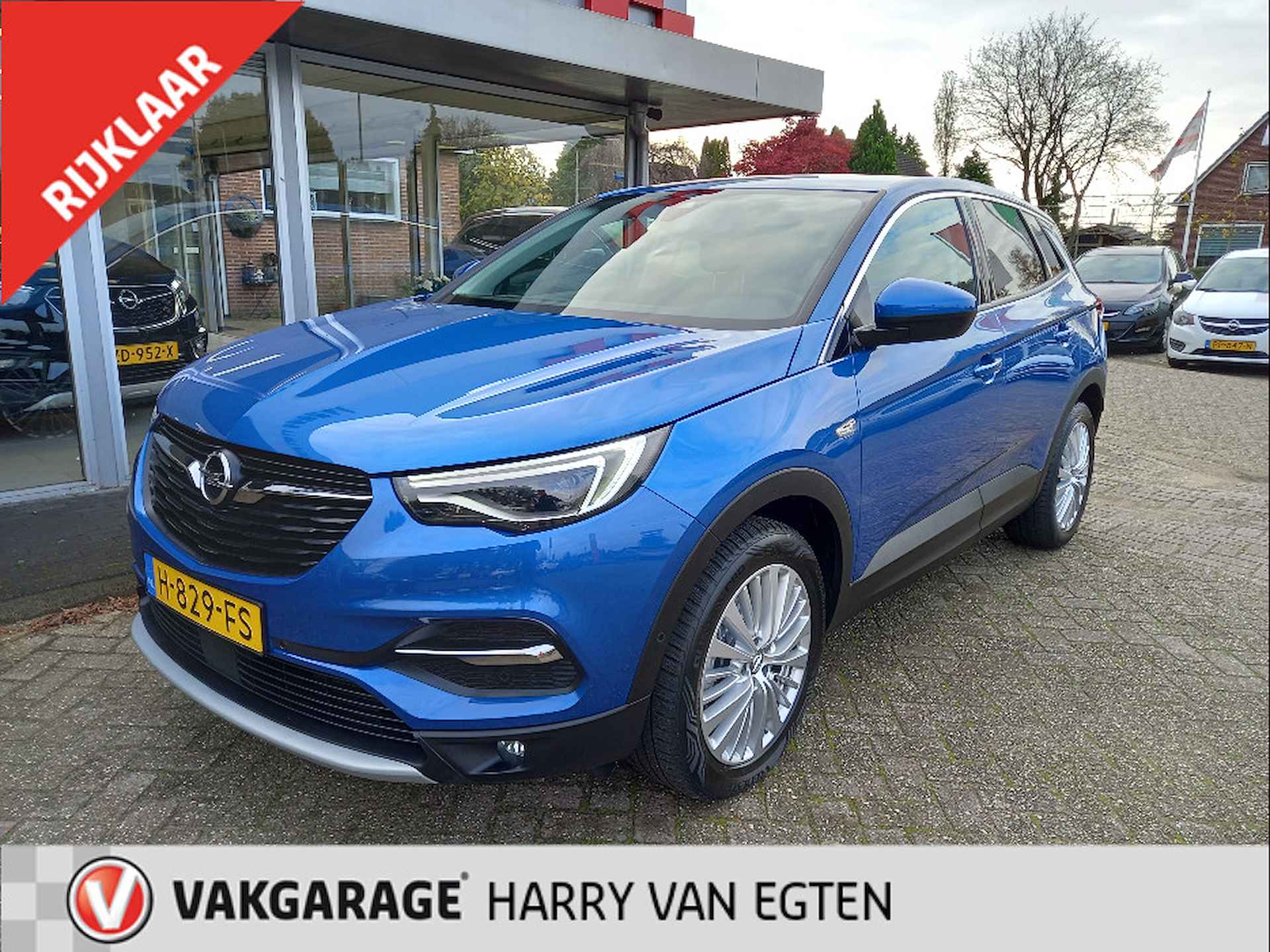 Opel Grandland X BOVAG 40-Puntencheck