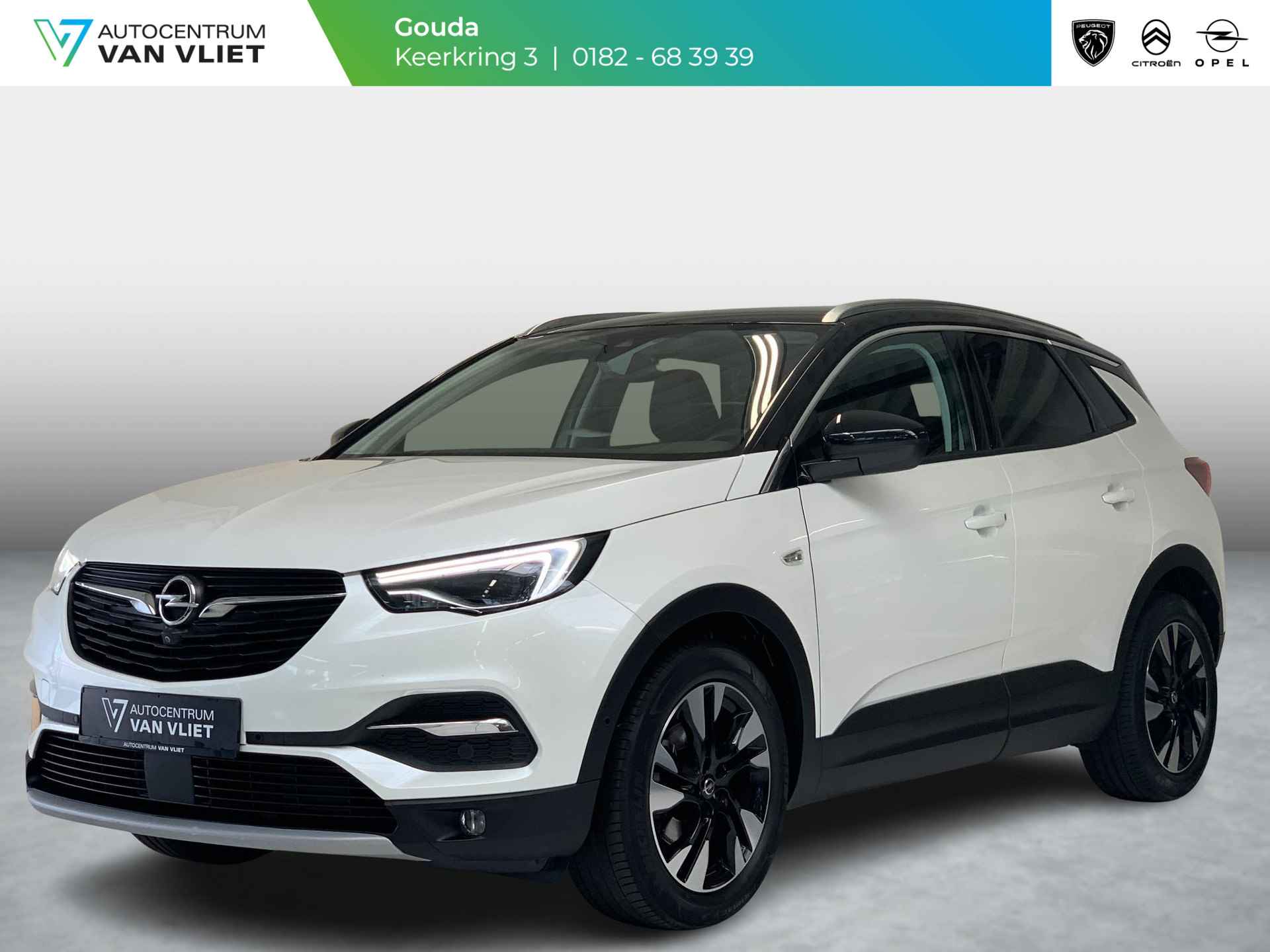 Opel Grandland X BOVAG 40-Puntencheck