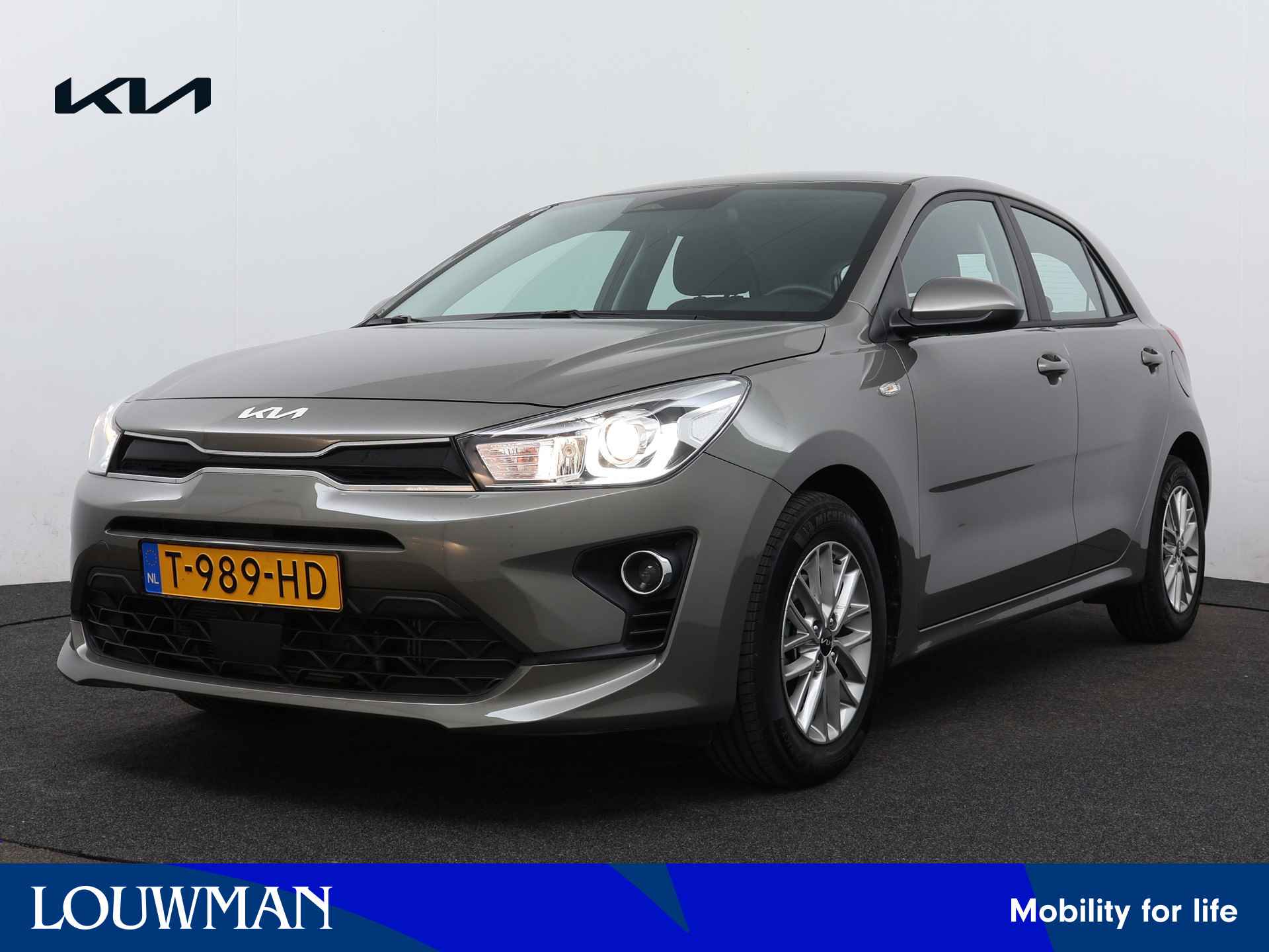 Kia Rio BOVAG 40-Puntencheck