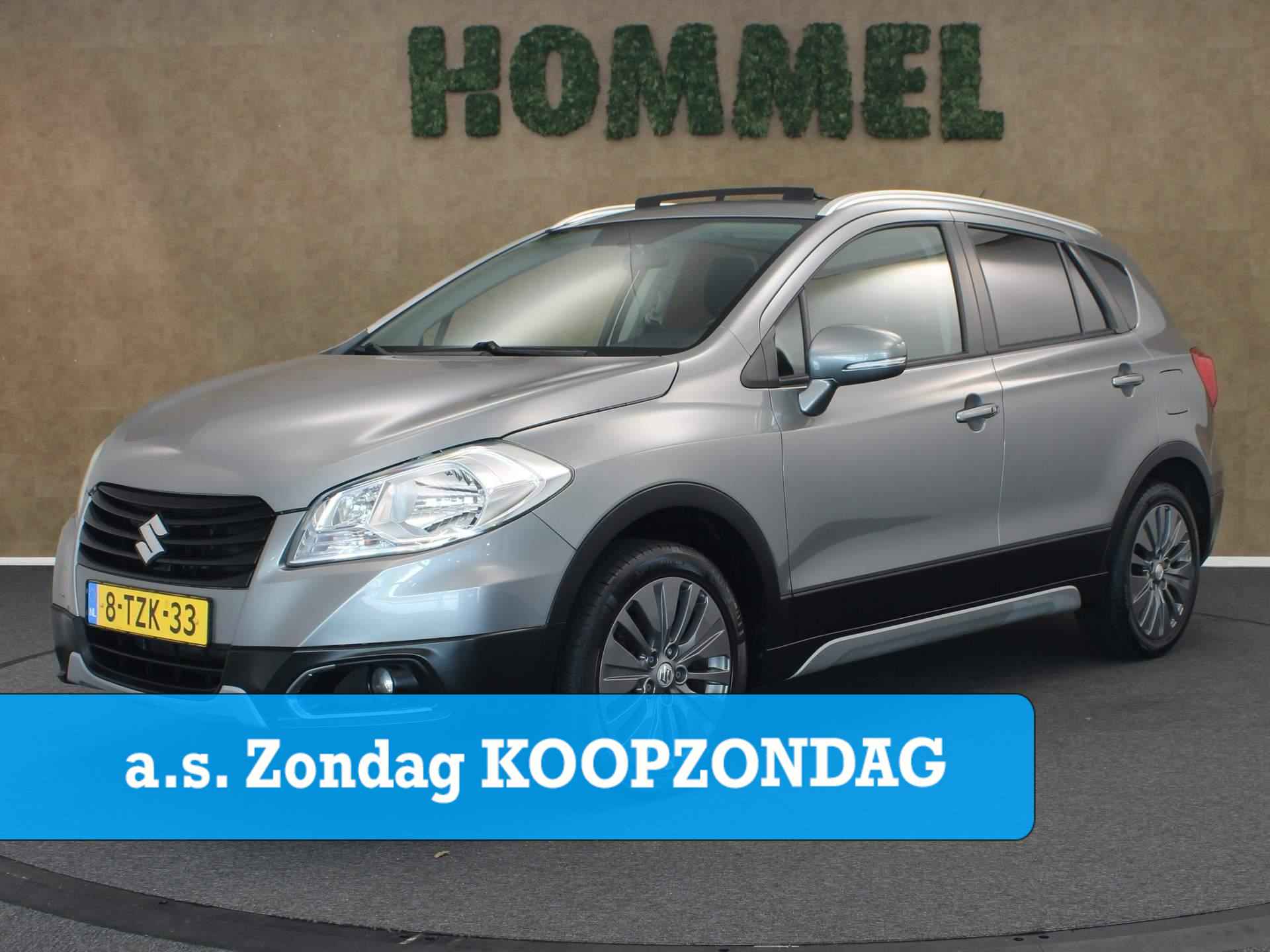 Suzuki S-Cross BOVAG 40-Puntencheck