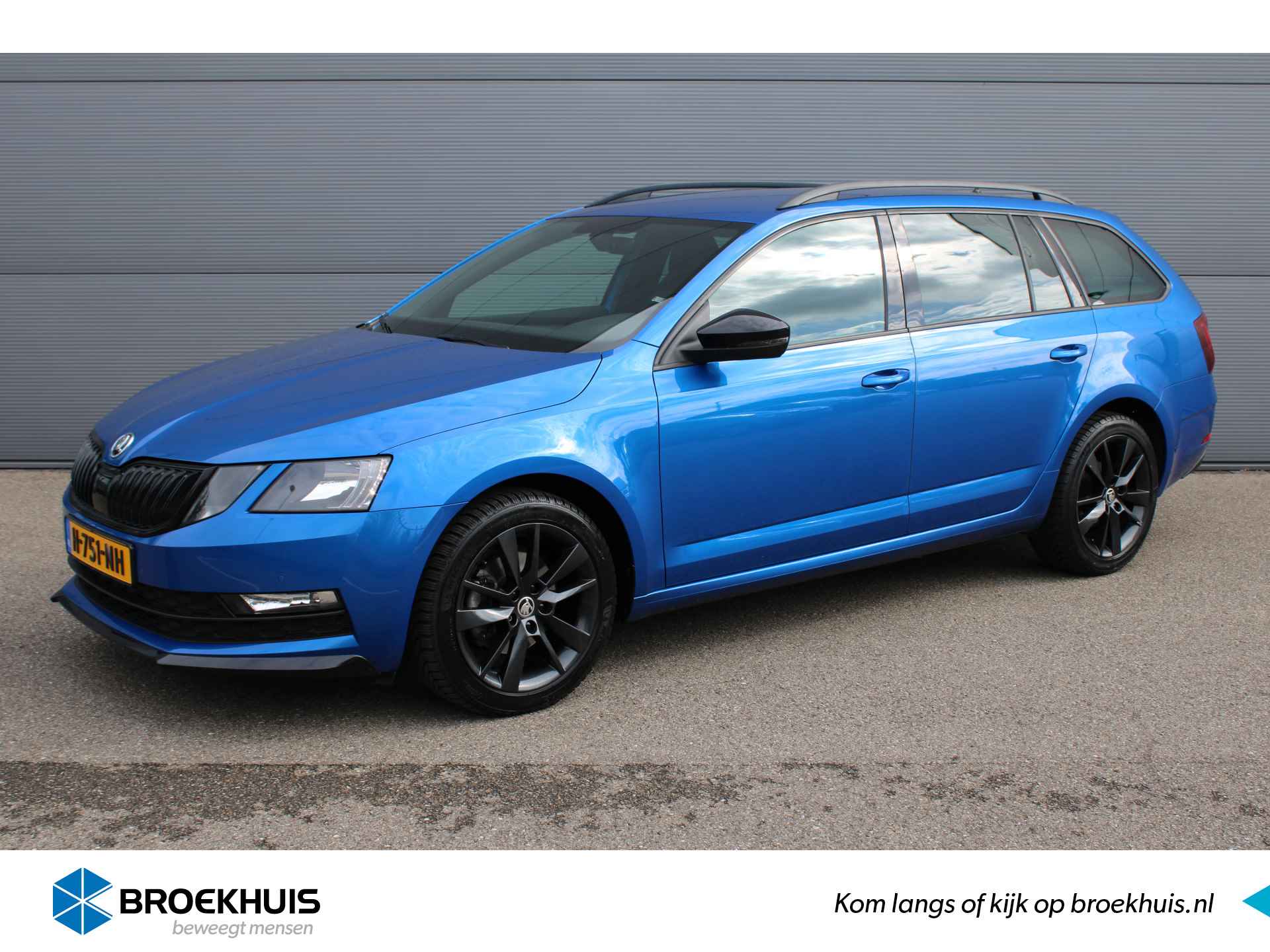 Škoda Octavia BOVAG 40-Puntencheck