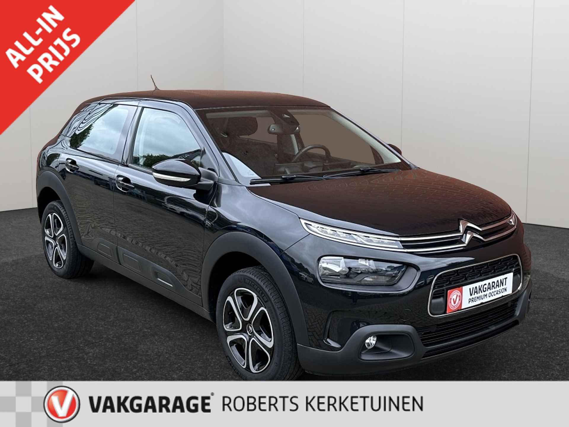 Citroën C4 Cactus BOVAG 40-Puntencheck