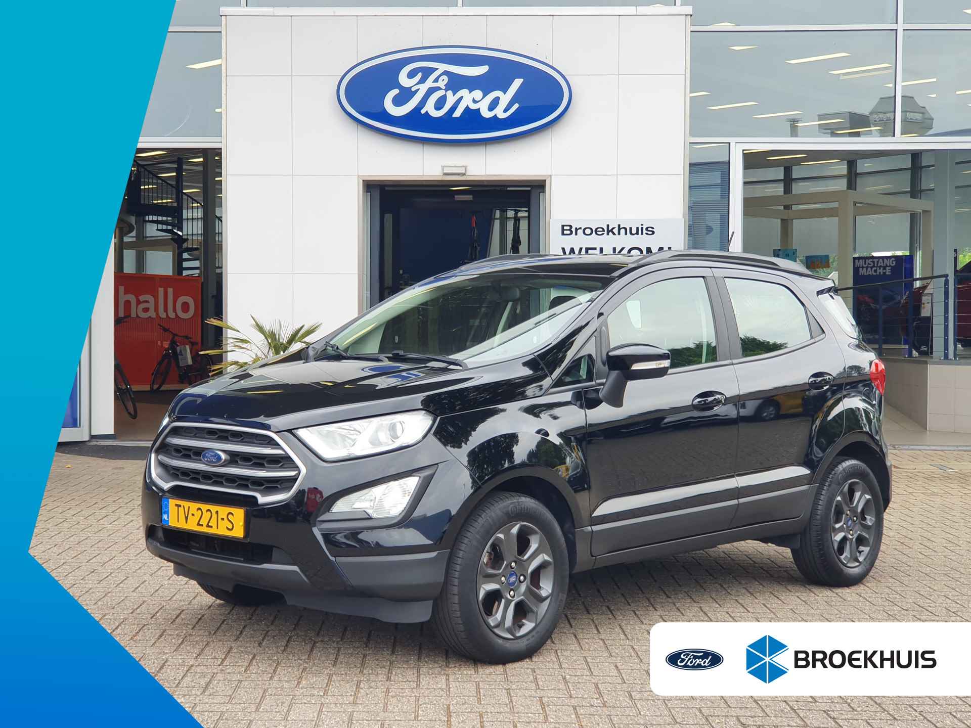 Ford EcoSport BOVAG 40-Puntencheck