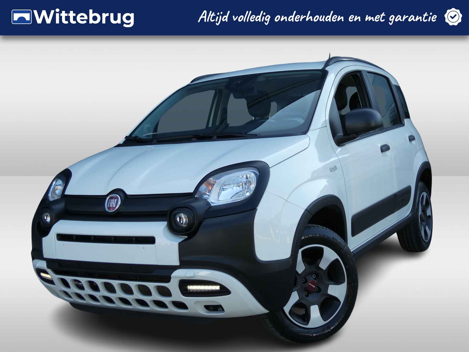 Fiat Panda BOVAG 40-Puntencheck