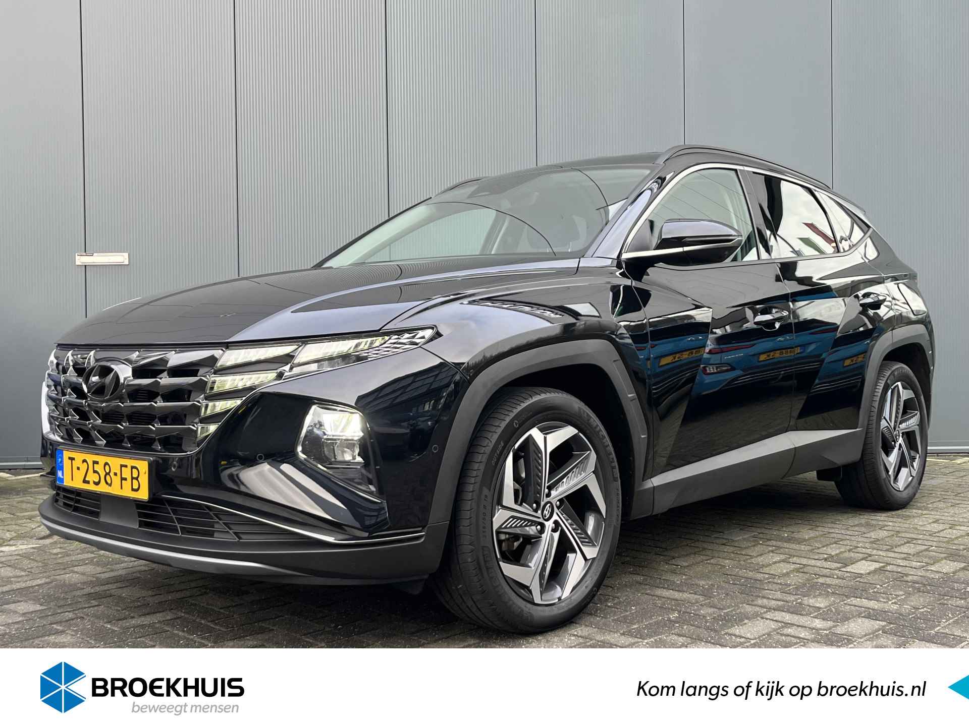 Hyundai Tucson BOVAG 40-Puntencheck