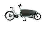 URBAN ARROW Family Active Plus Groen uni 56cm 2025