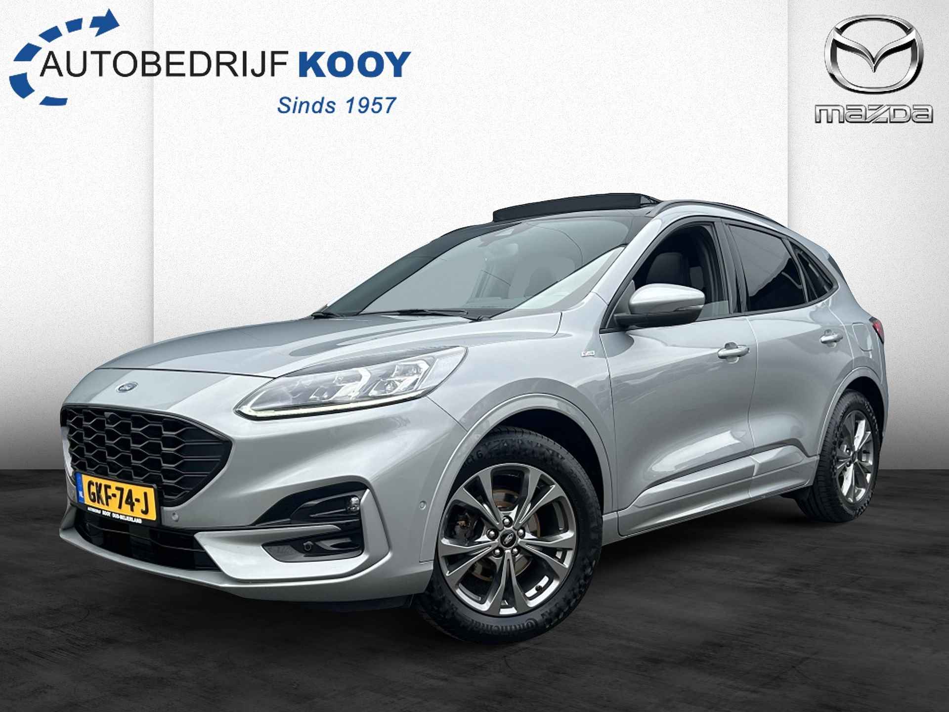 Ford Kuga BOVAG 40-Puntencheck