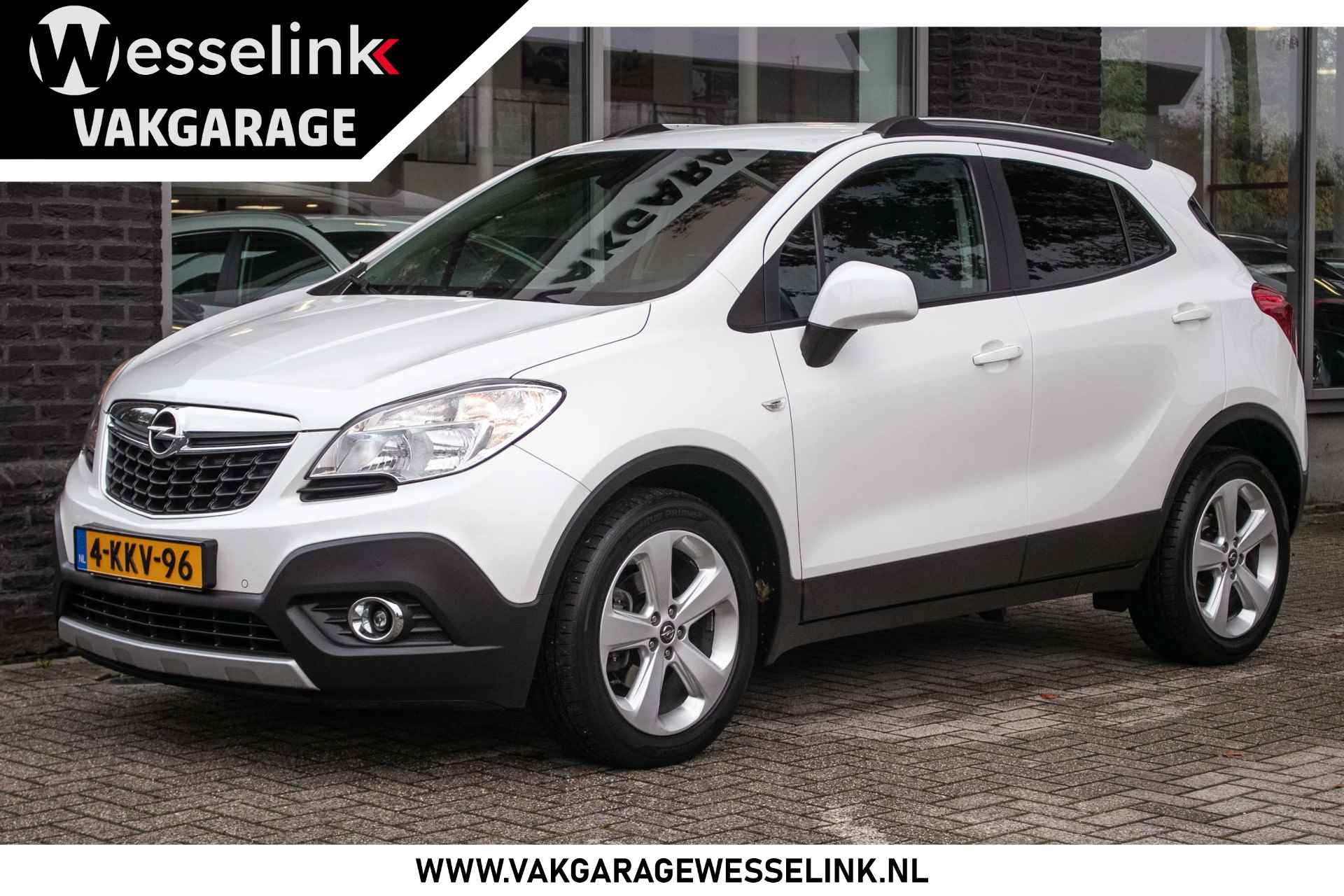 Opel Mokka BOVAG 40-Puntencheck