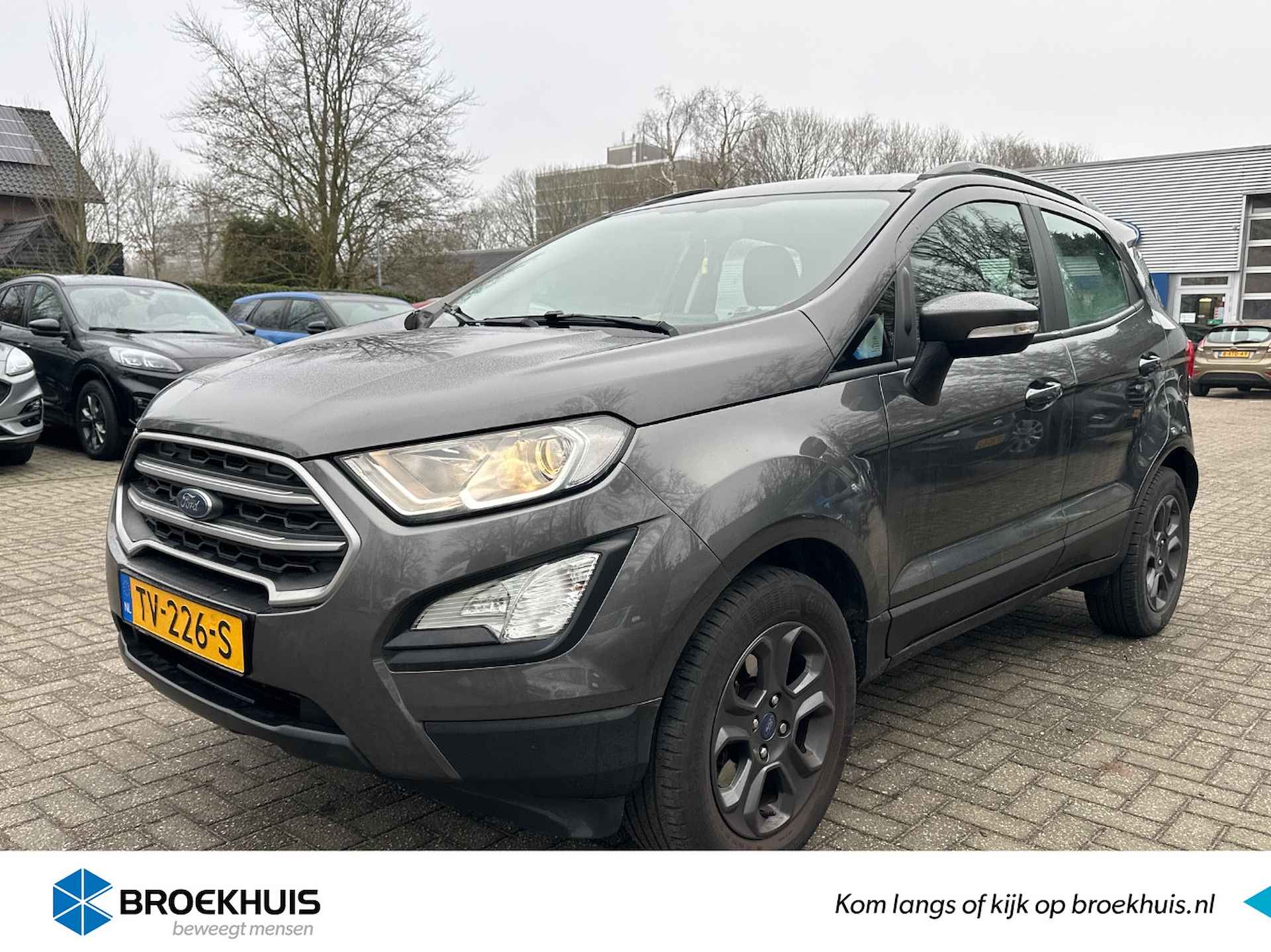 Ford EcoSport BOVAG 40-Puntencheck