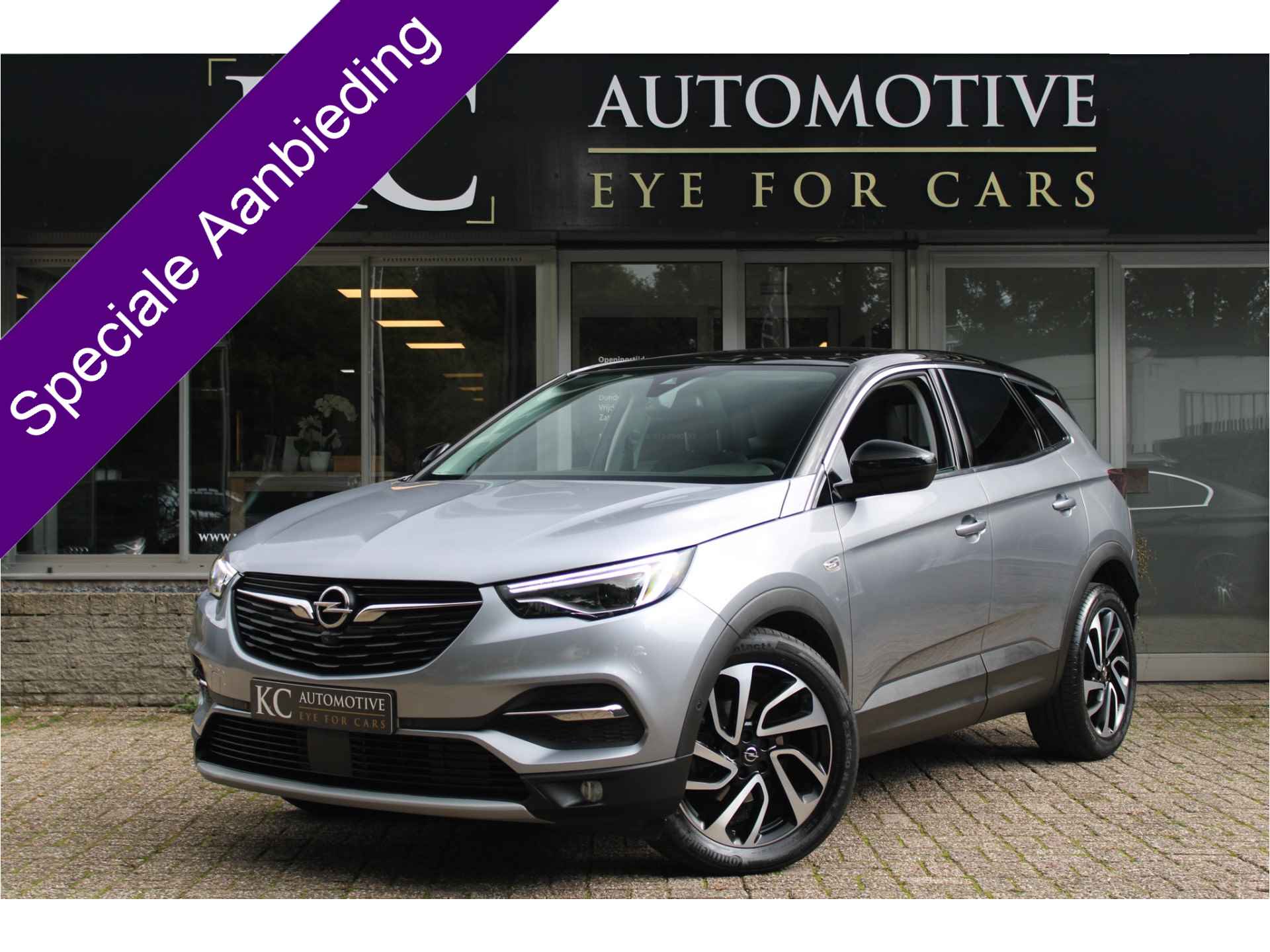 Opel Grandland X BOVAG 40-Puntencheck