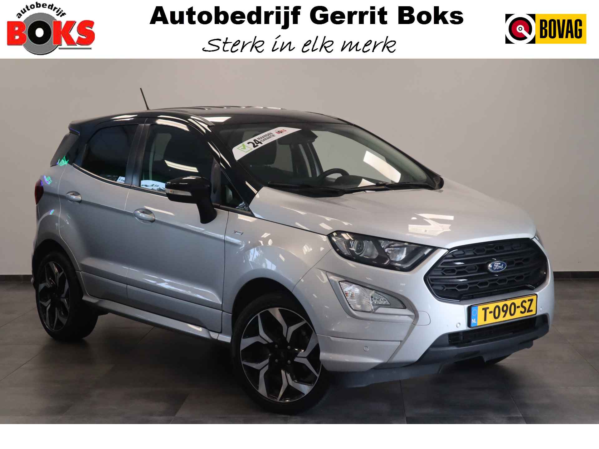 Ford EcoSport BOVAG 40-Puntencheck