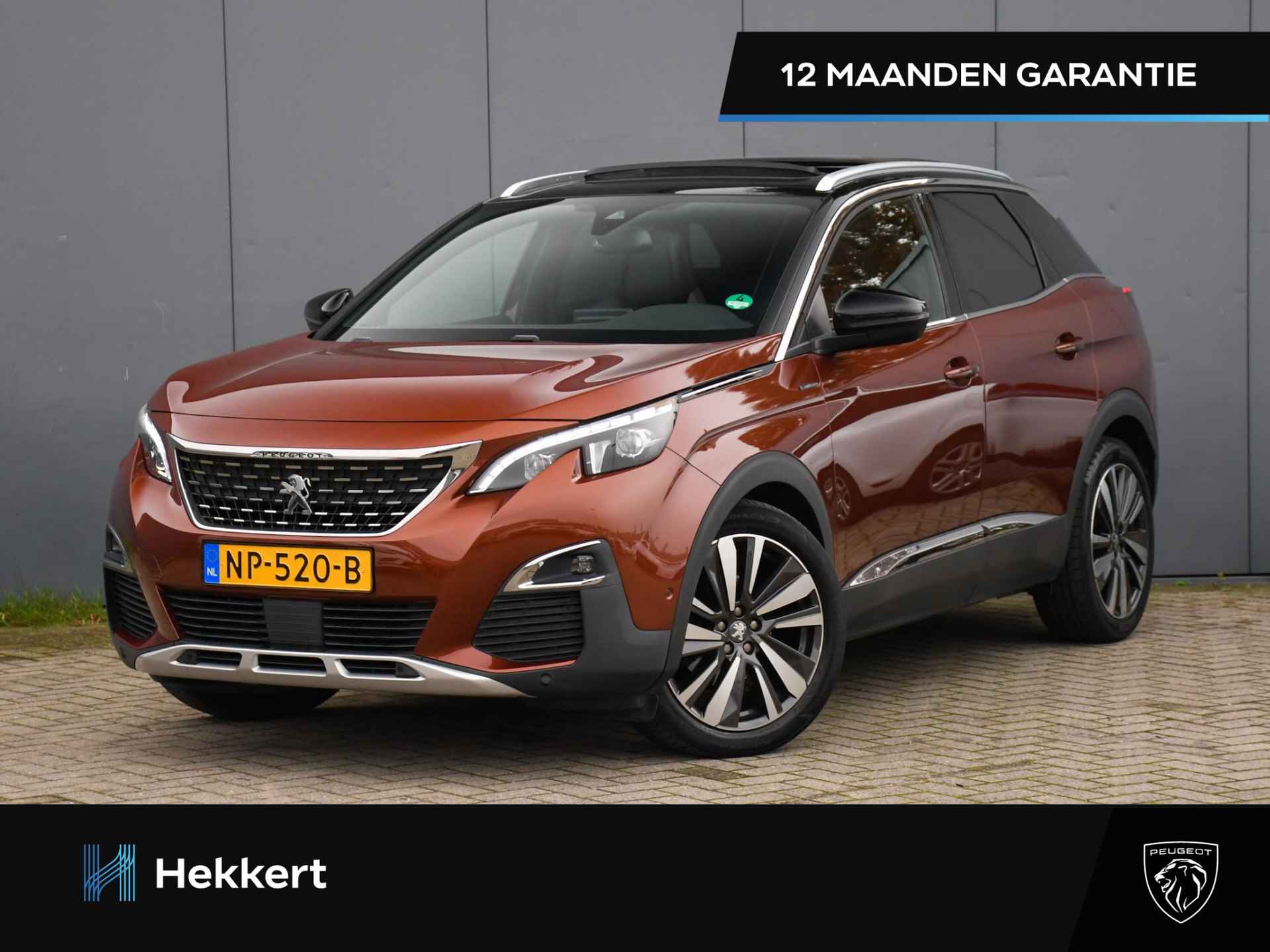 Peugeot 3008 BOVAG 40-Puntencheck