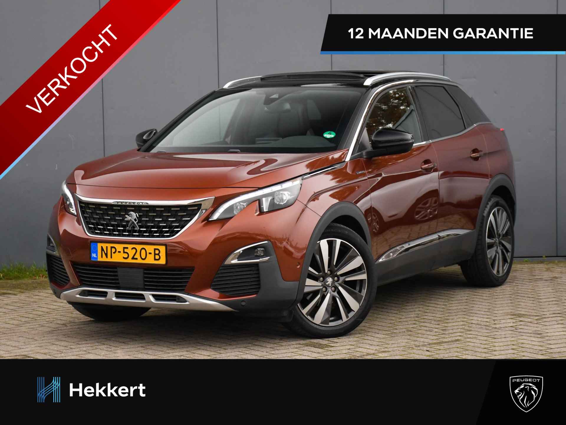 Peugeot 3008 BOVAG 40-Puntencheck