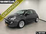 Opel ADAM 1.4 Hardwell Edition / PANODAK / H.LEDER / STOEL-STUURVERW./