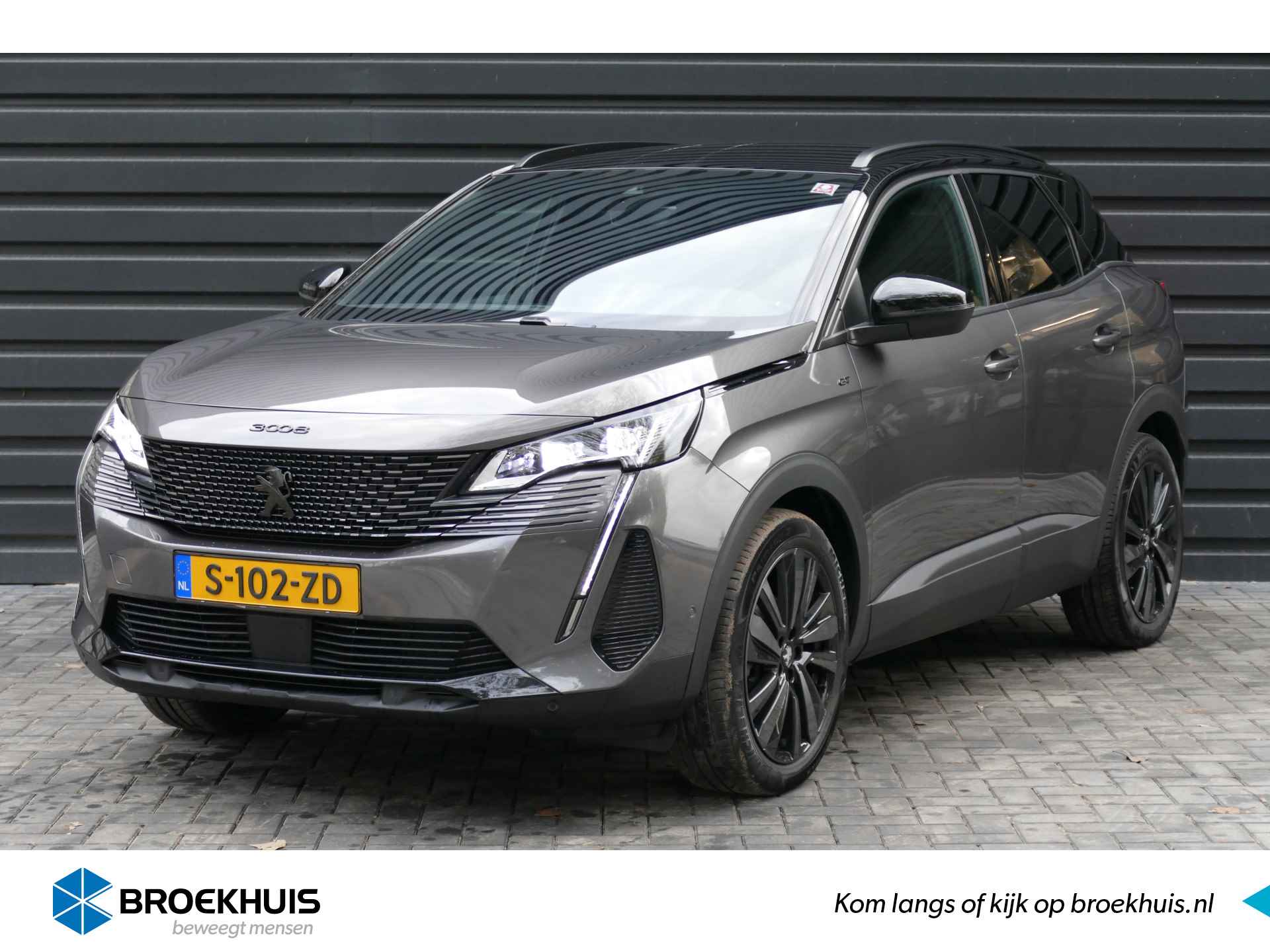 Peugeot 3008 BOVAG 40-Puntencheck