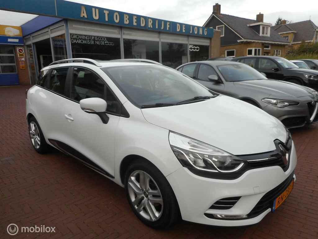 Renault Clio BOVAG 40-Puntencheck