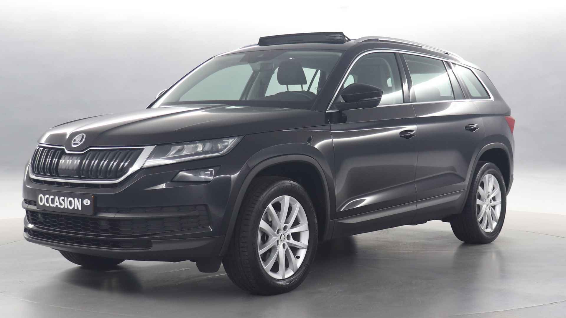 Škoda Kodiaq BOVAG 40-Puntencheck