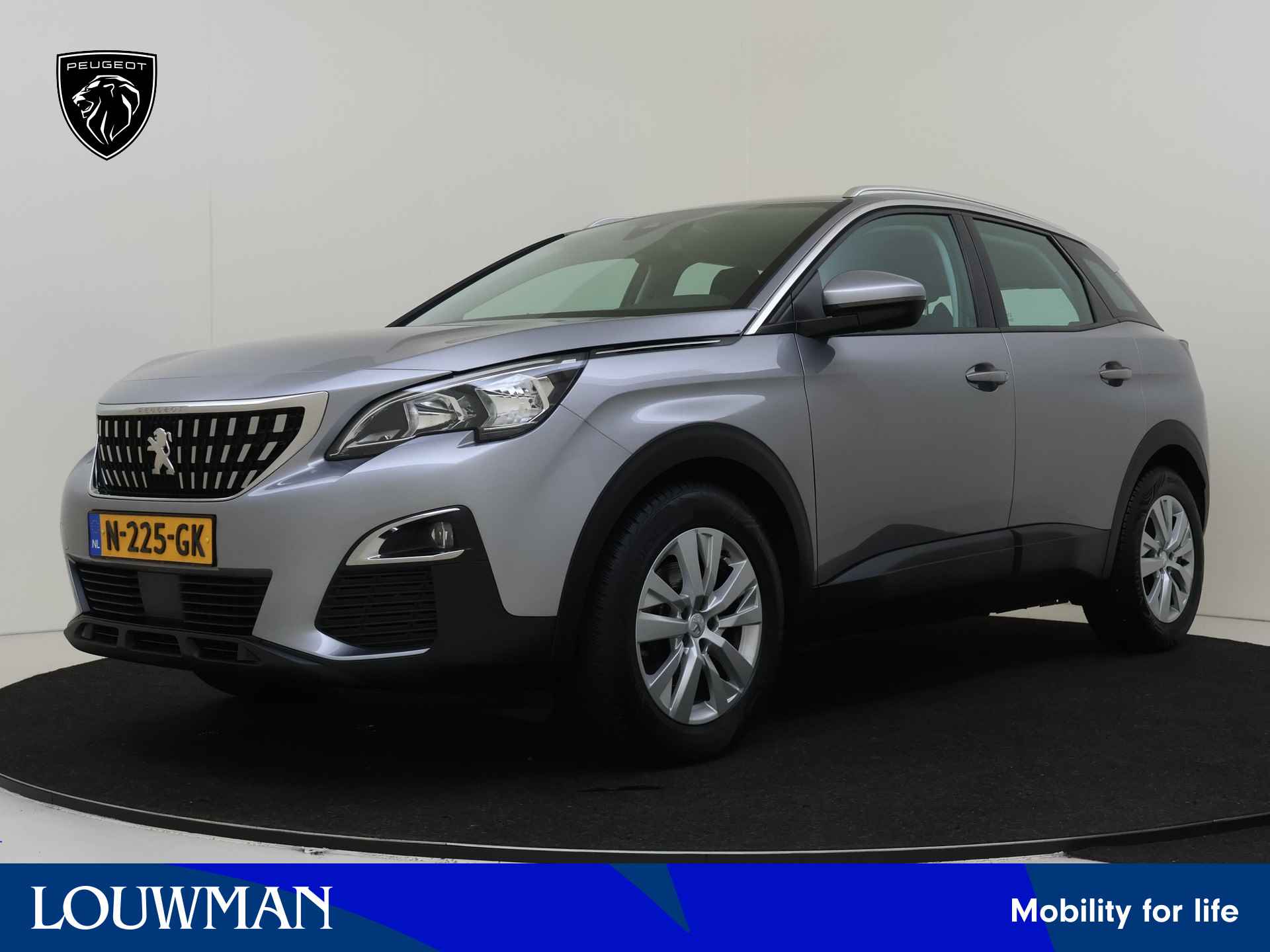 Peugeot 3008 BOVAG 40-Puntencheck