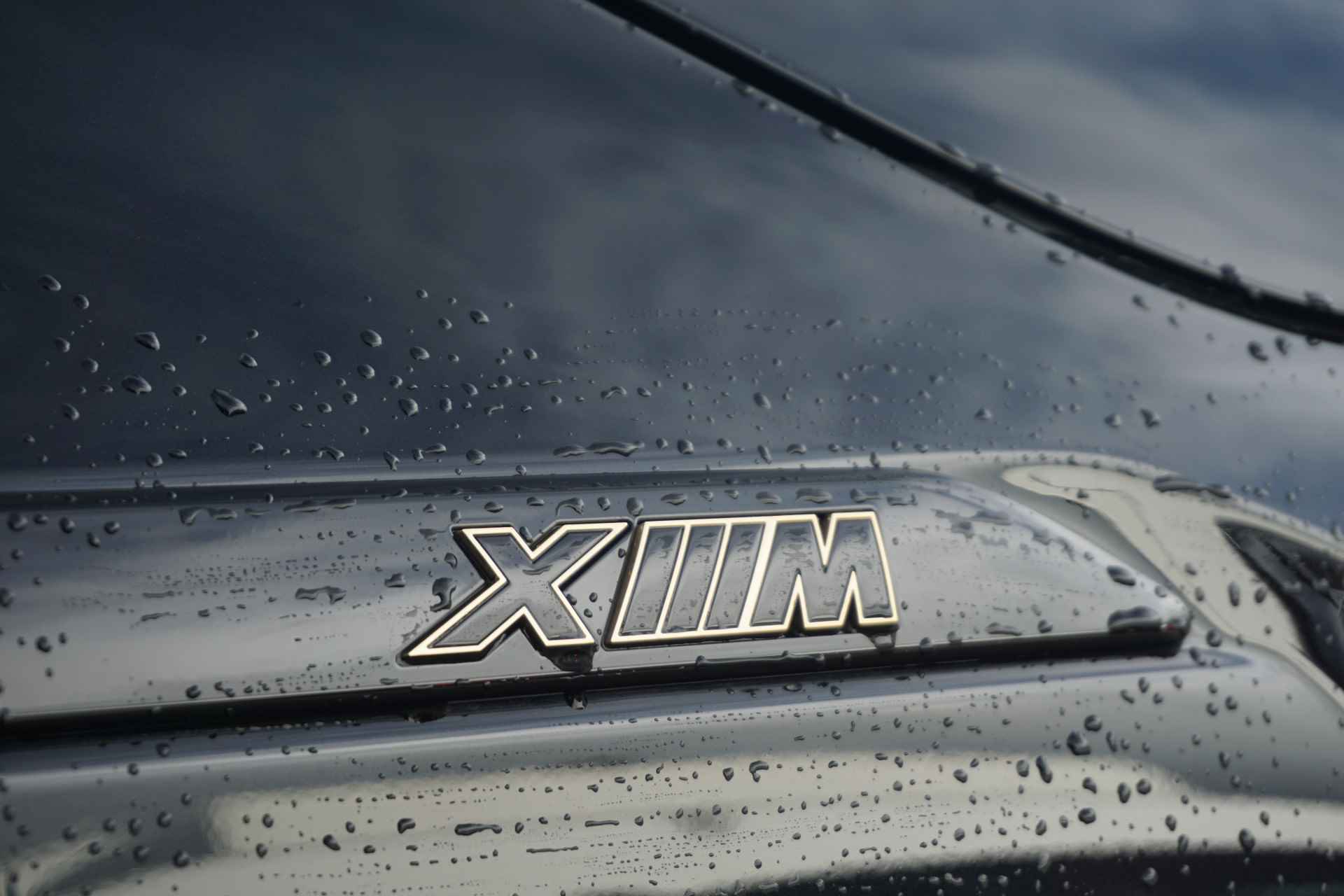 BMW XM High Executive Comfort Acces / Harman Kardon / Soft Close / Driving Assistant Professional - 26/30
