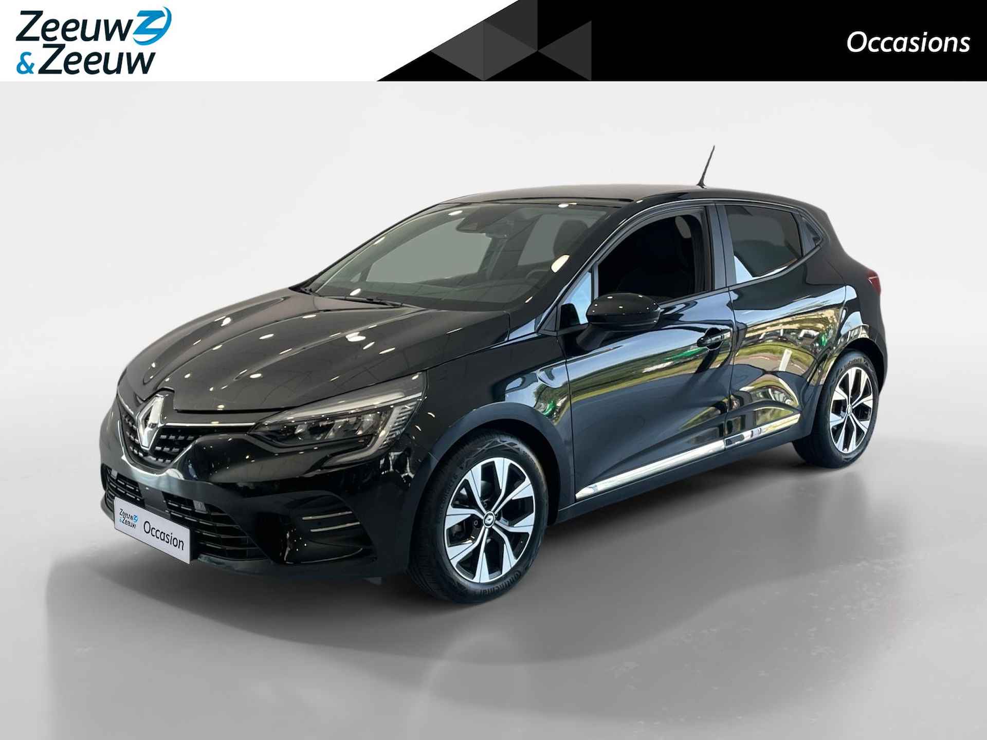 Renault Clio BOVAG 40-Puntencheck