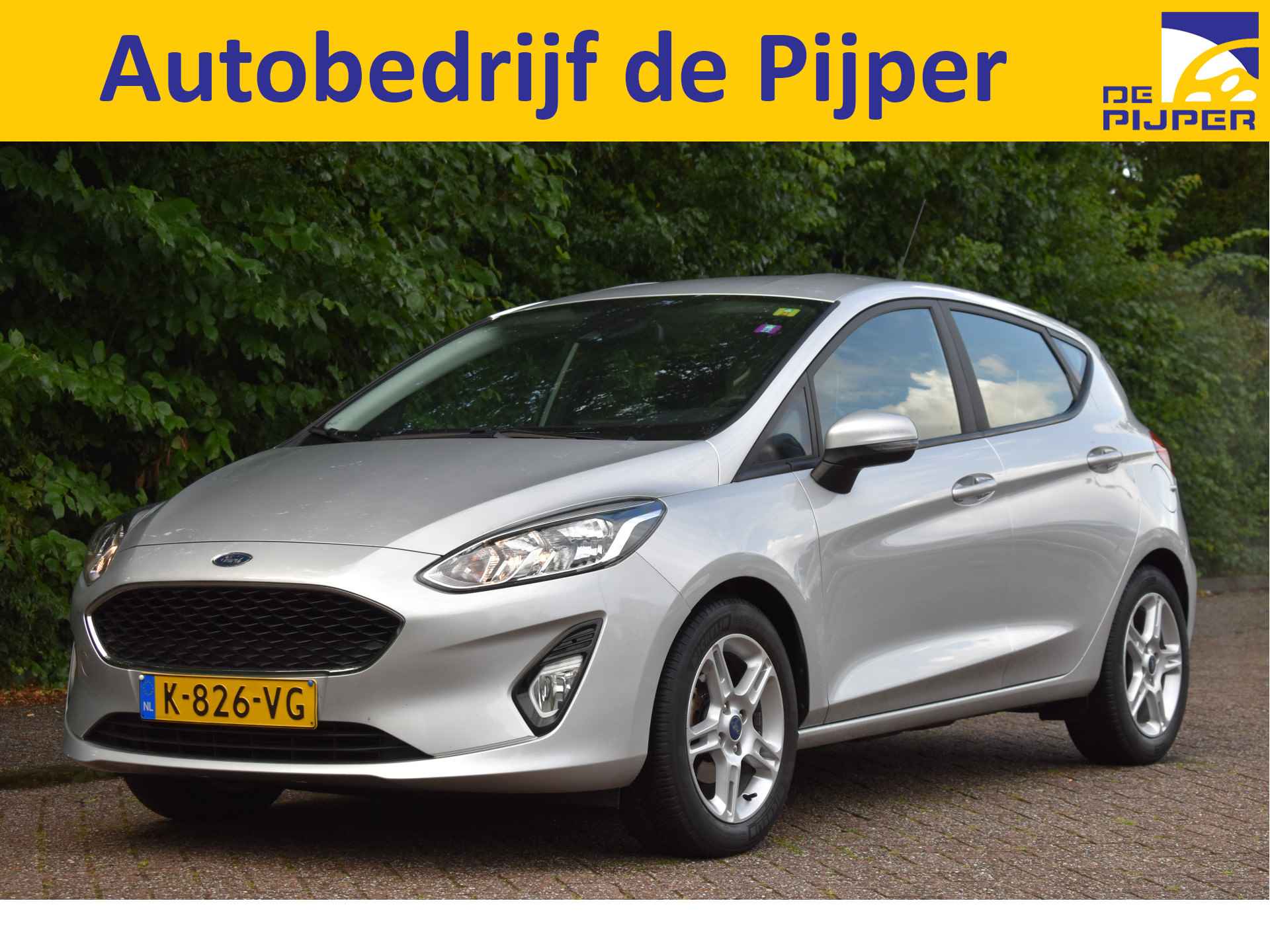 Ford Fiesta BOVAG 40-Puntencheck