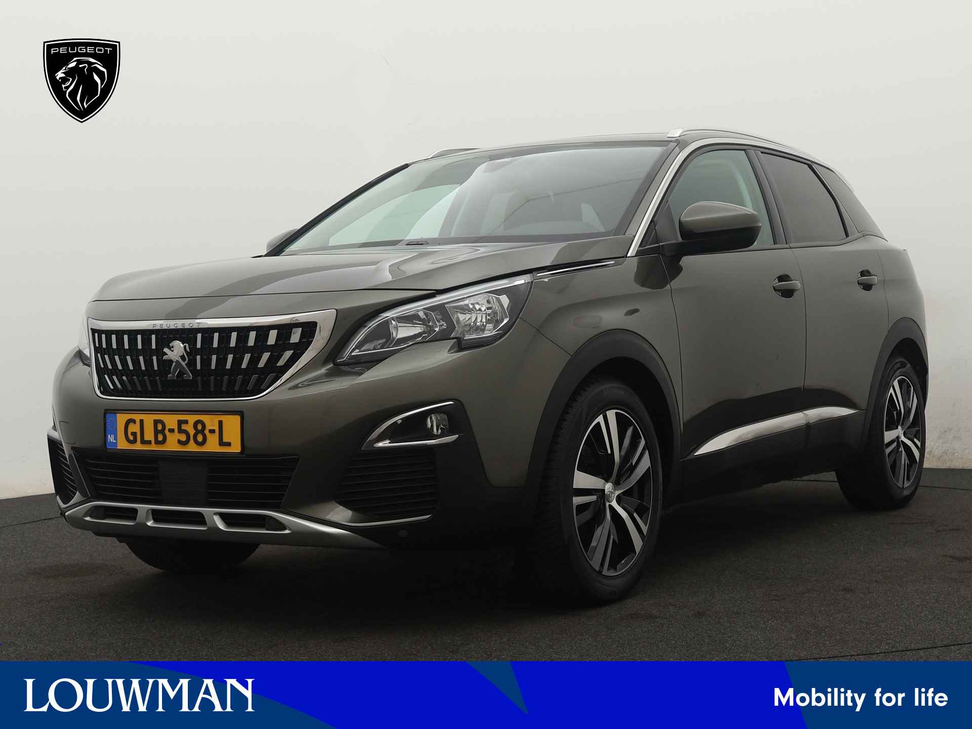 Peugeot 3008 BOVAG 40-Puntencheck