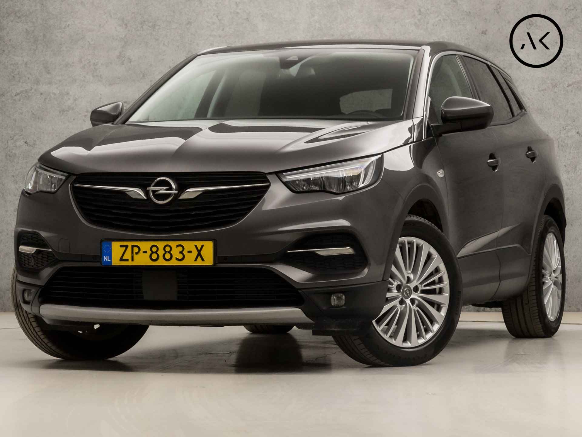 Opel Grandland X BOVAG 40-Puntencheck