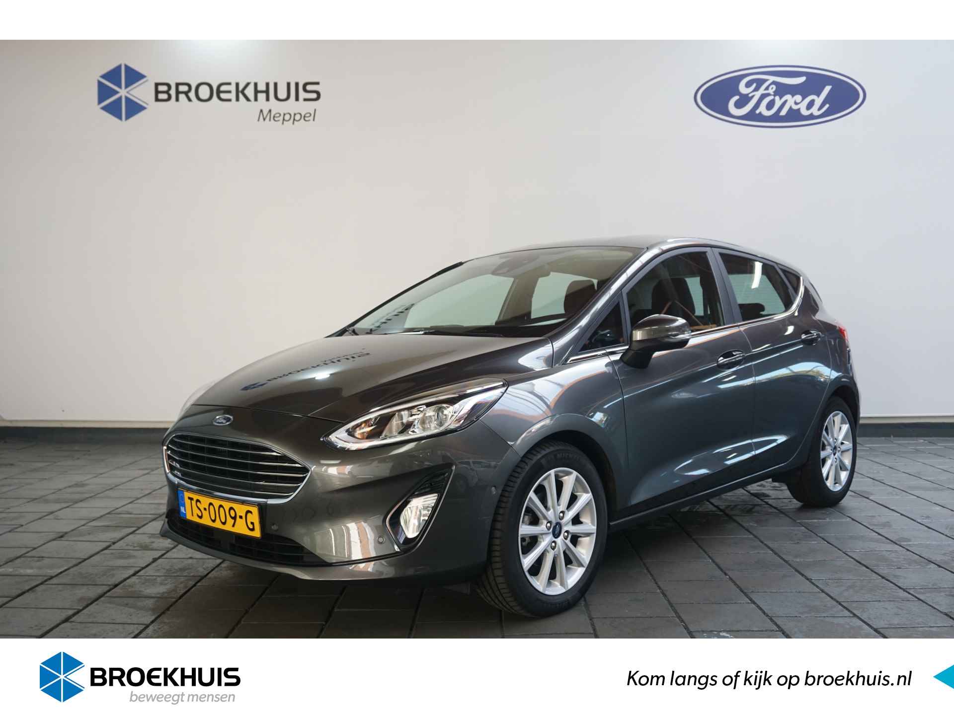 Ford Fiesta BOVAG 40-Puntencheck