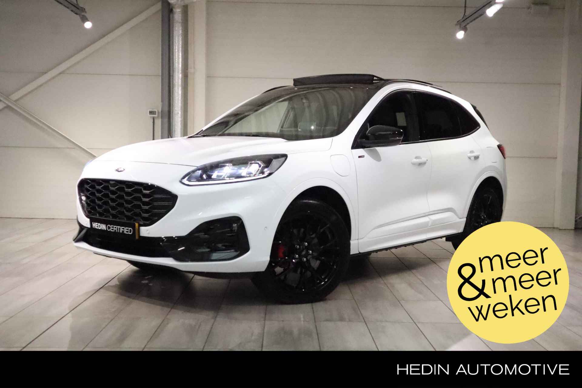 Ford Kuga BOVAG 40-Puntencheck