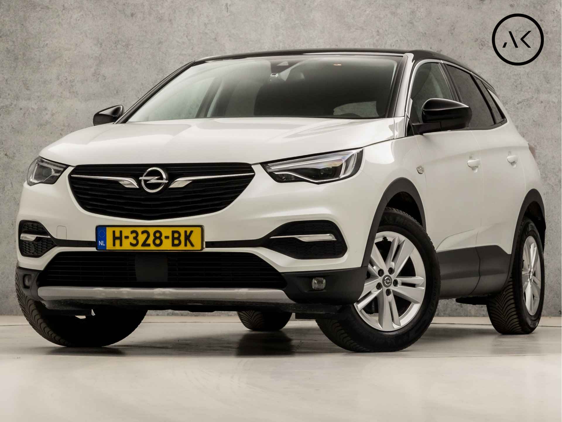 Opel Grandland X BOVAG 40-Puntencheck