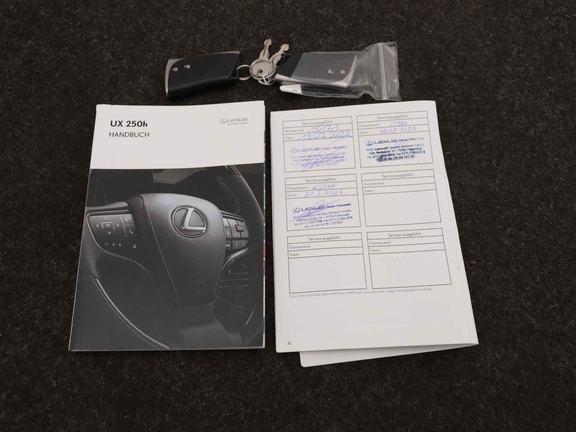 Lexus UX 250h Business Line Limited | Stuur-/Stoelverwarming | Dodehoekdetector | Camera | Erik tm 12 maart gereserveerd - 13/48