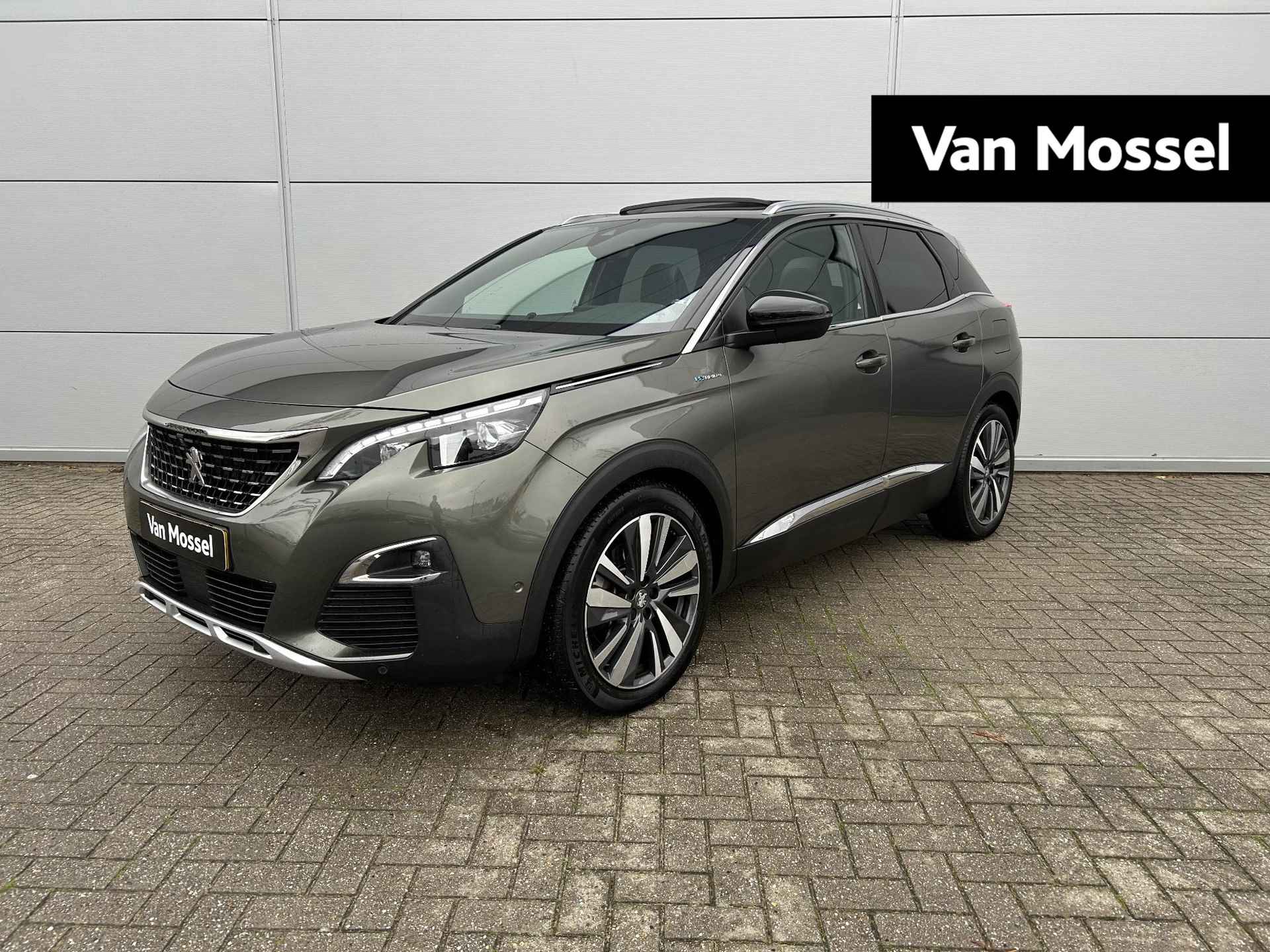 Peugeot 3008 BOVAG 40-Puntencheck